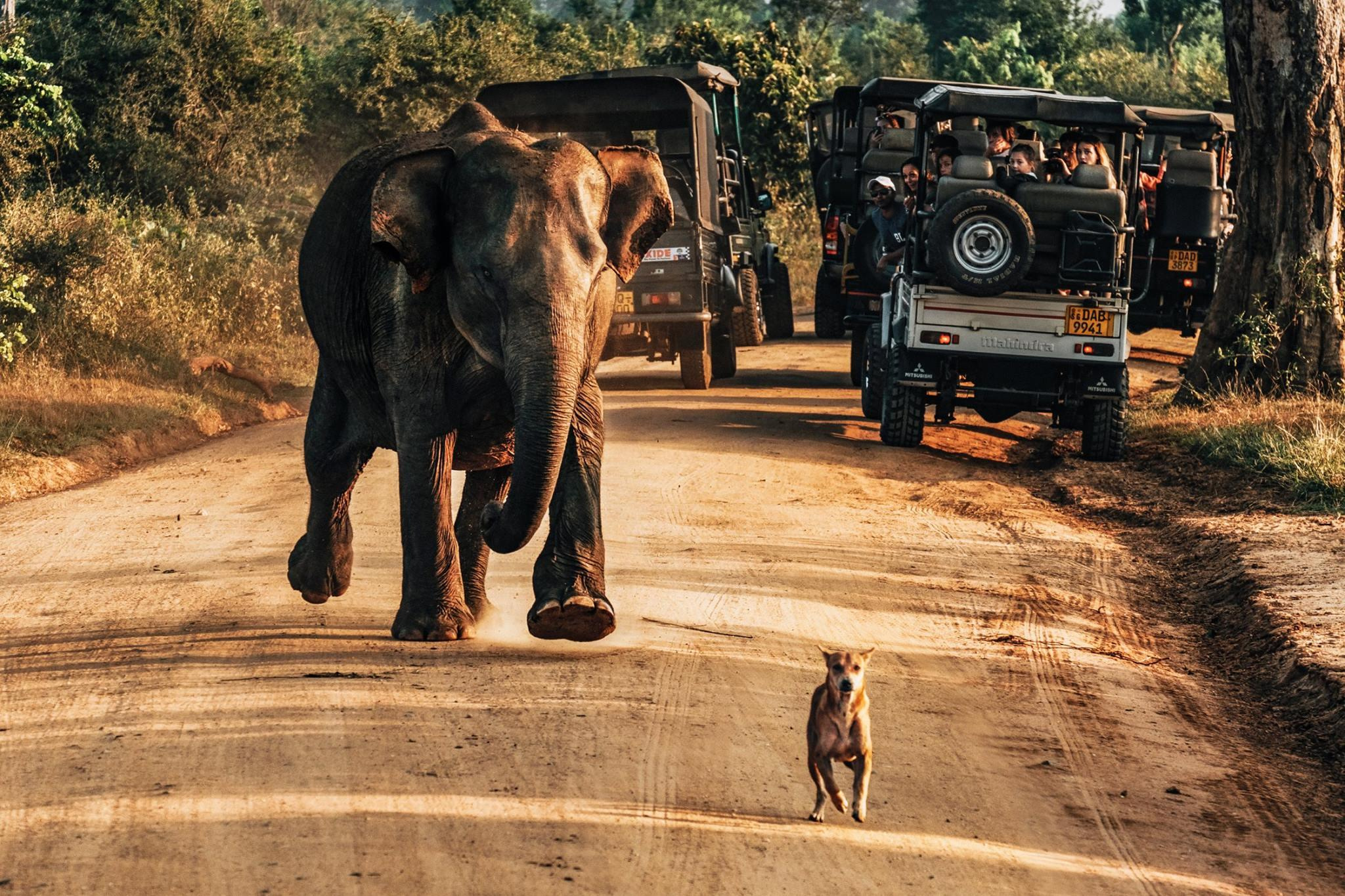 STREET. Photographer Konstantin Gribov