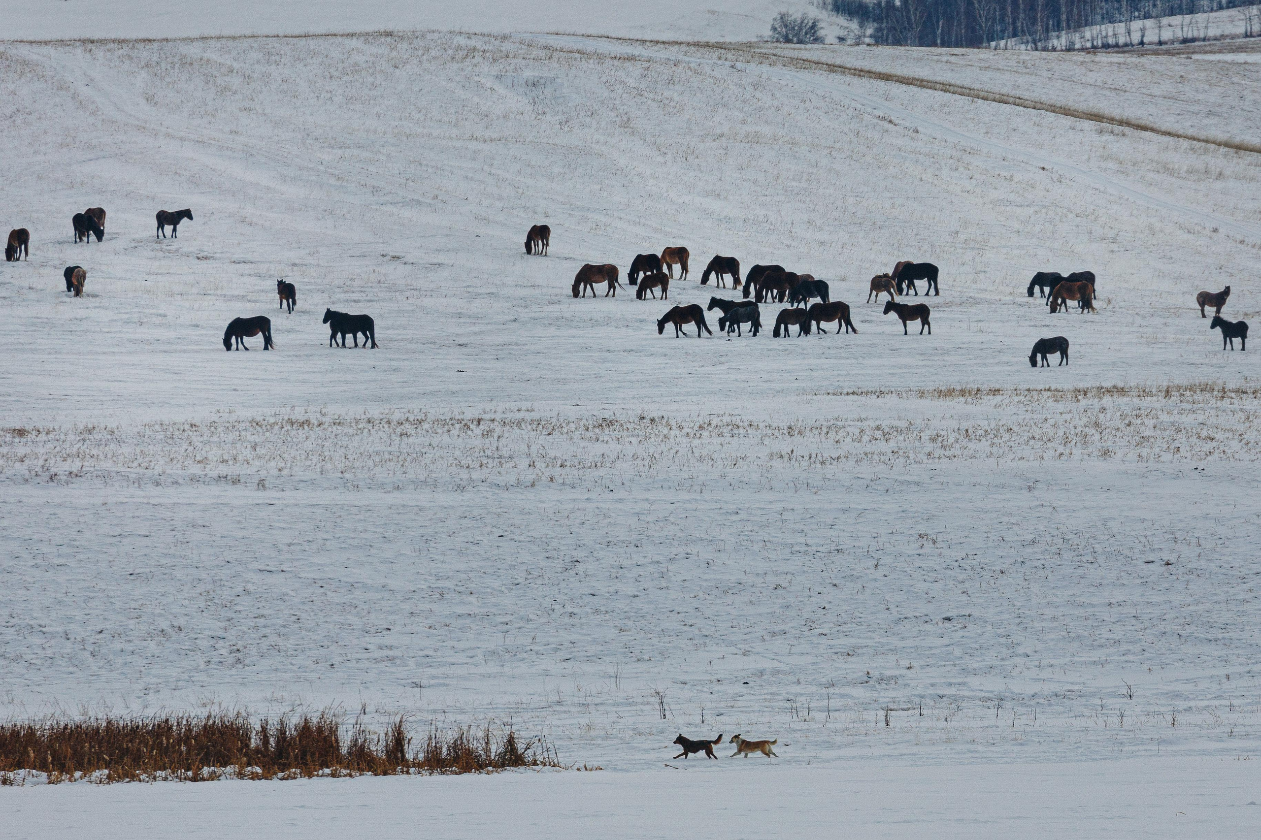 РЕПОРТАЖ. Фотограф Константин Грибов в Москве