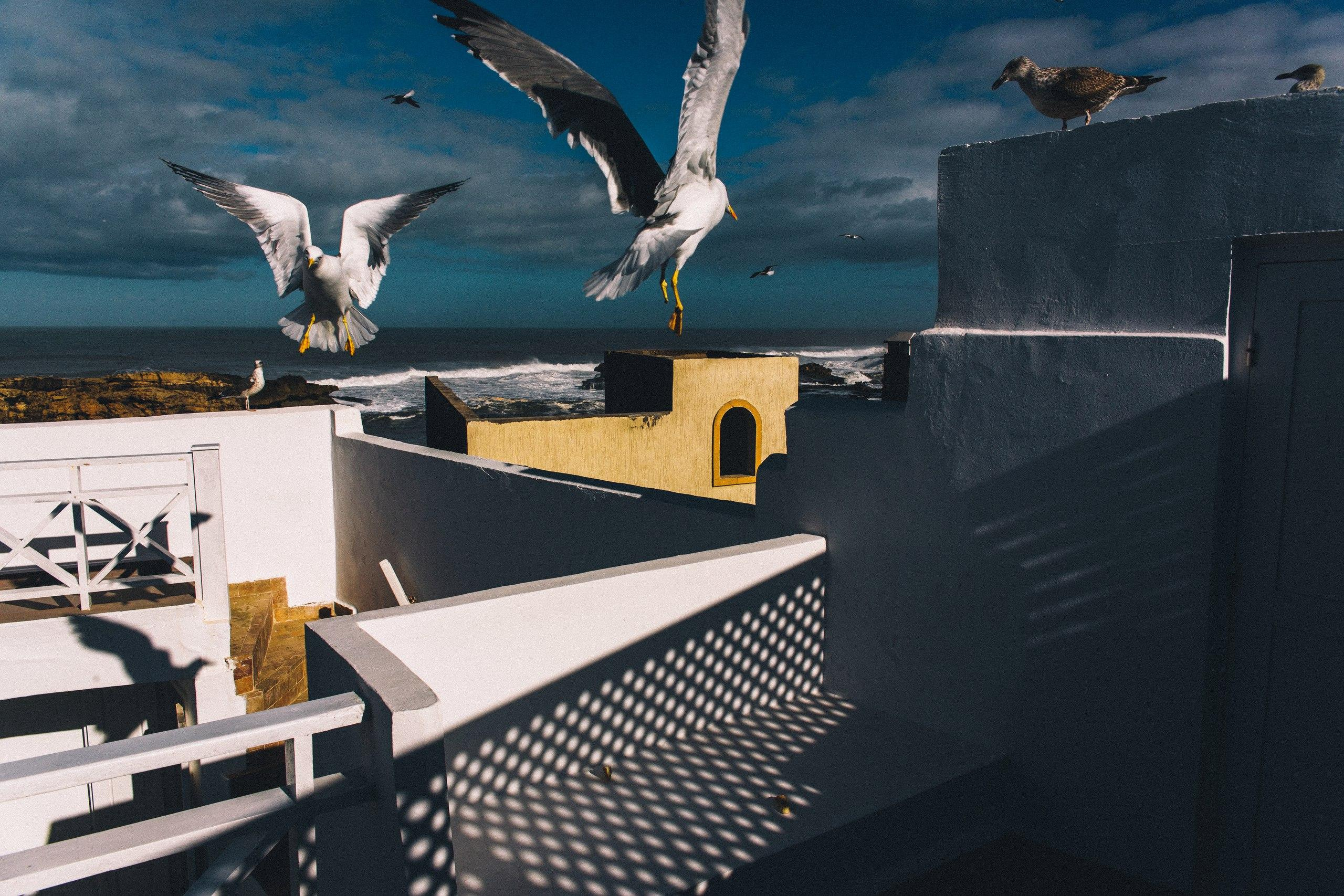 STREET. Photographer Konstantin Gribov