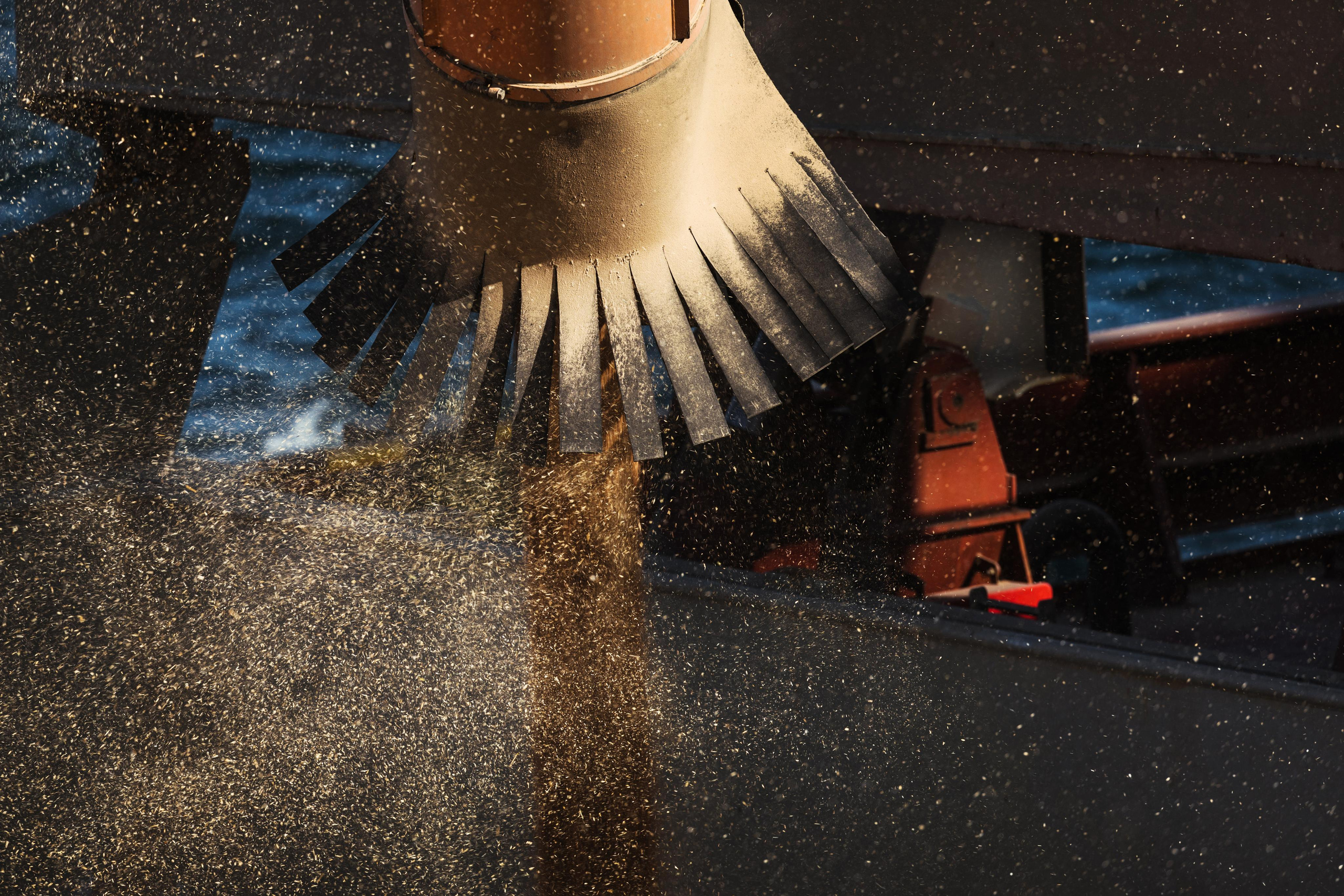 CONTENT. Photographer Konstantin Gribov