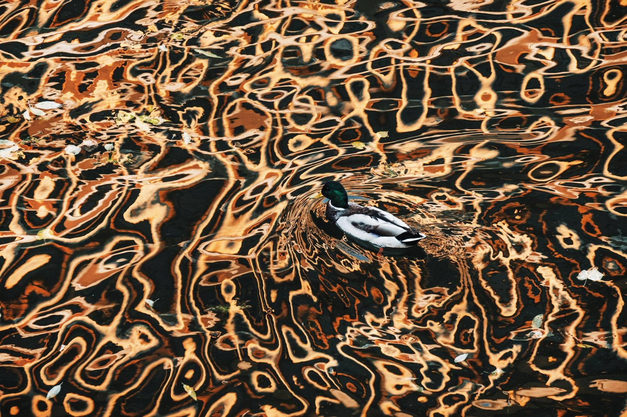 STREET. Photographer Konstantin Gribov