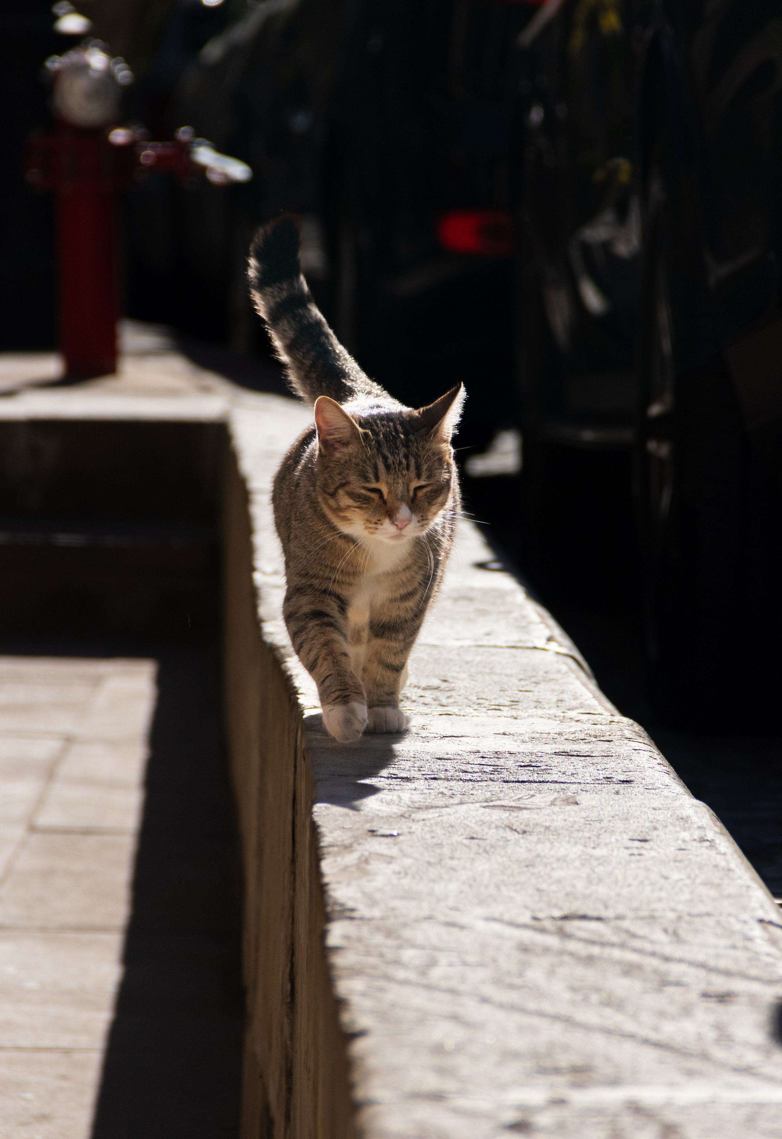 Баку. Наталия Фролова. Фотограф. Москва