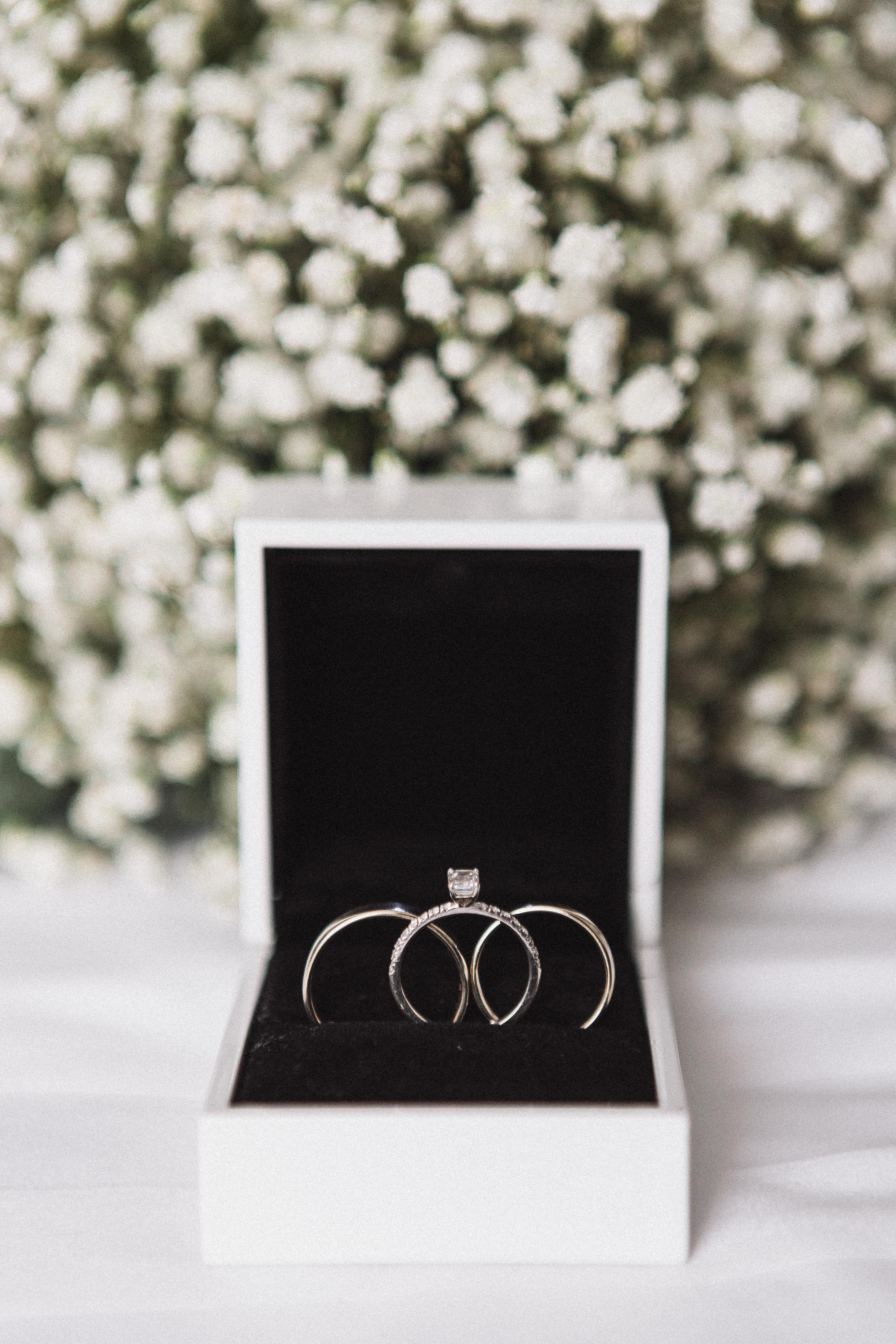 Р & В`22. Фотограф Кольчугино/Владимир/Москва Елизавета Иода