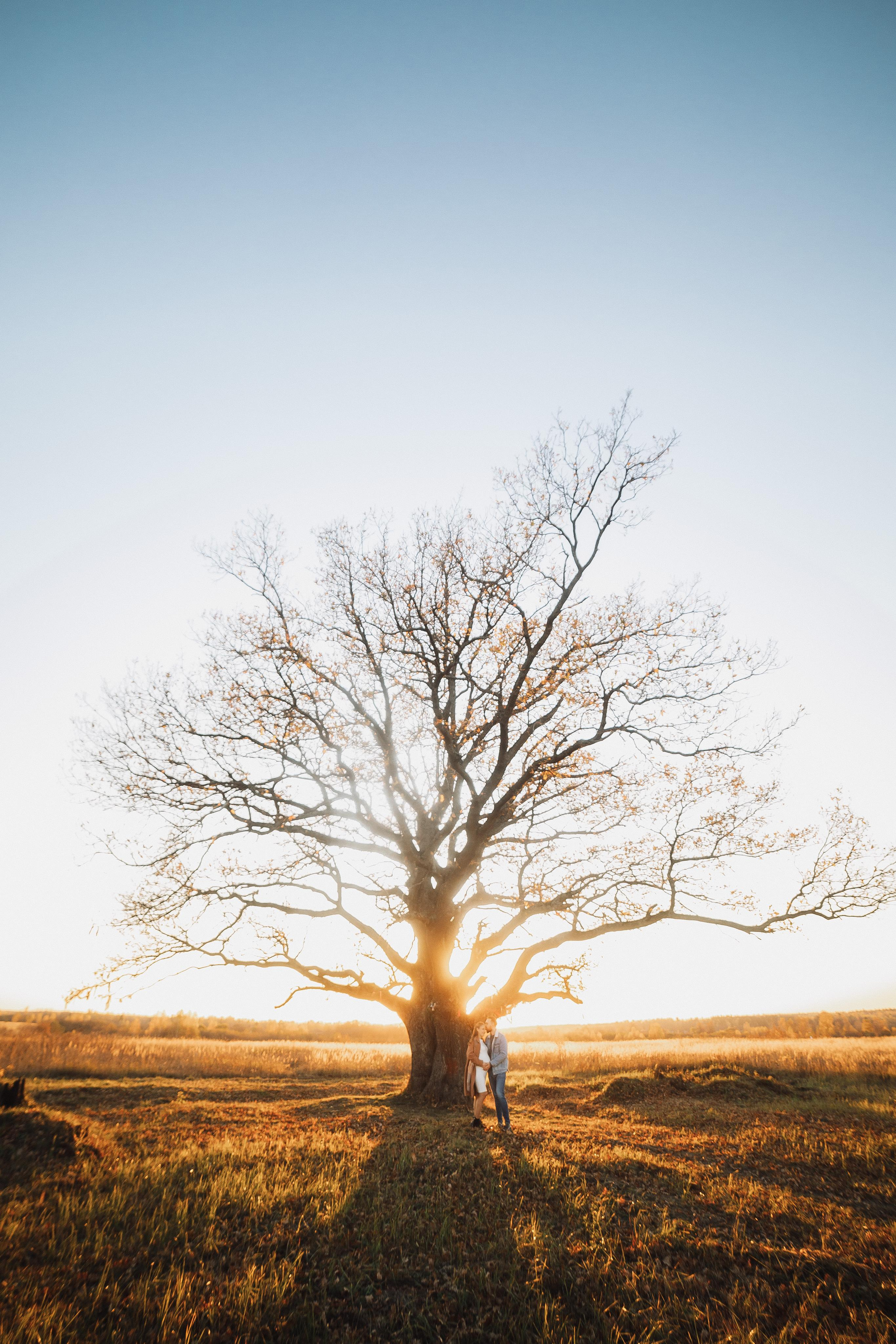 Е & Е. Фотограф Кольчугино/Владимир/Москва Елизавета Иода