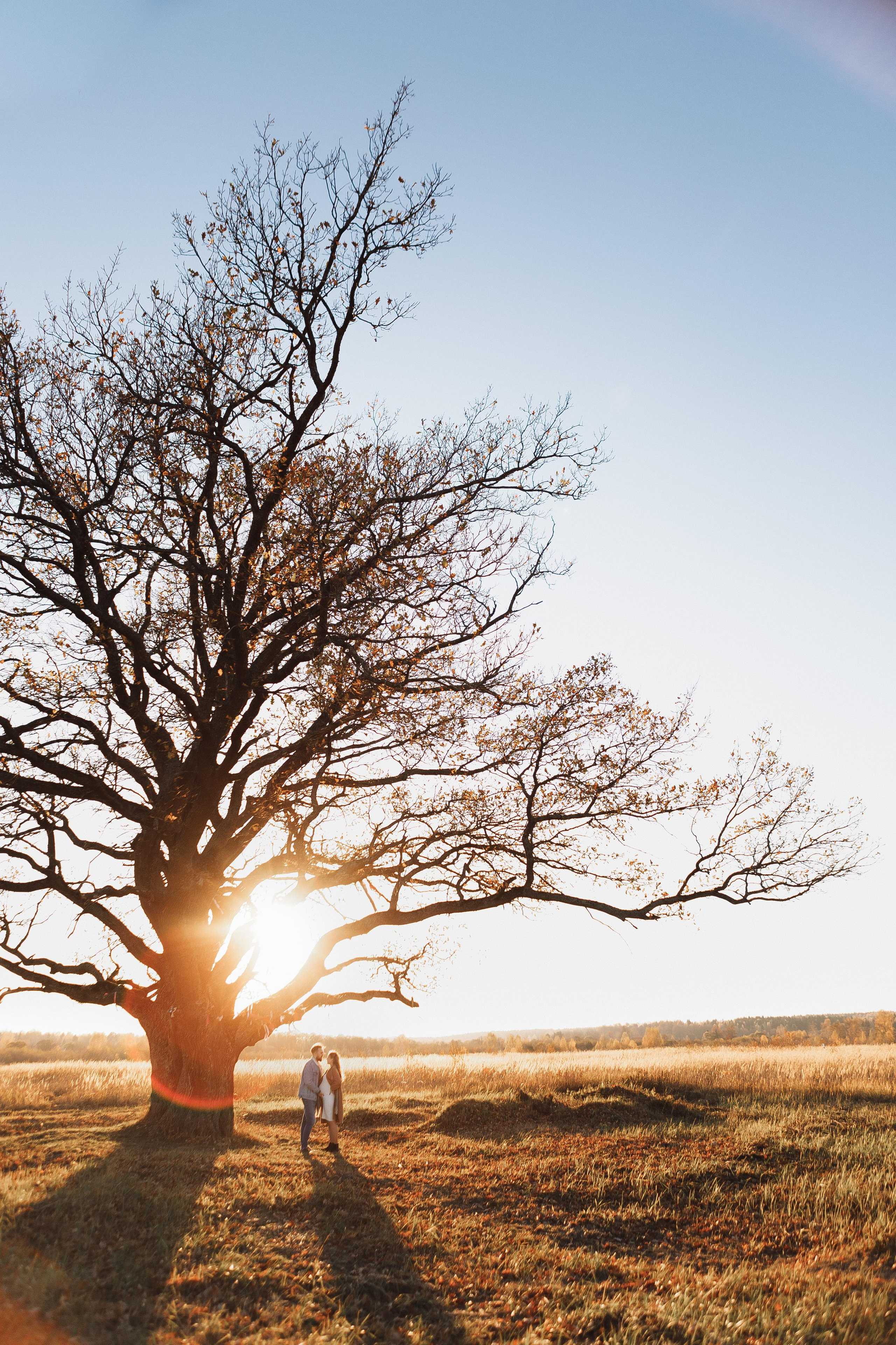 Е & Е. Фотограф Кольчугино/Владимир/Москва Елизавета Иода