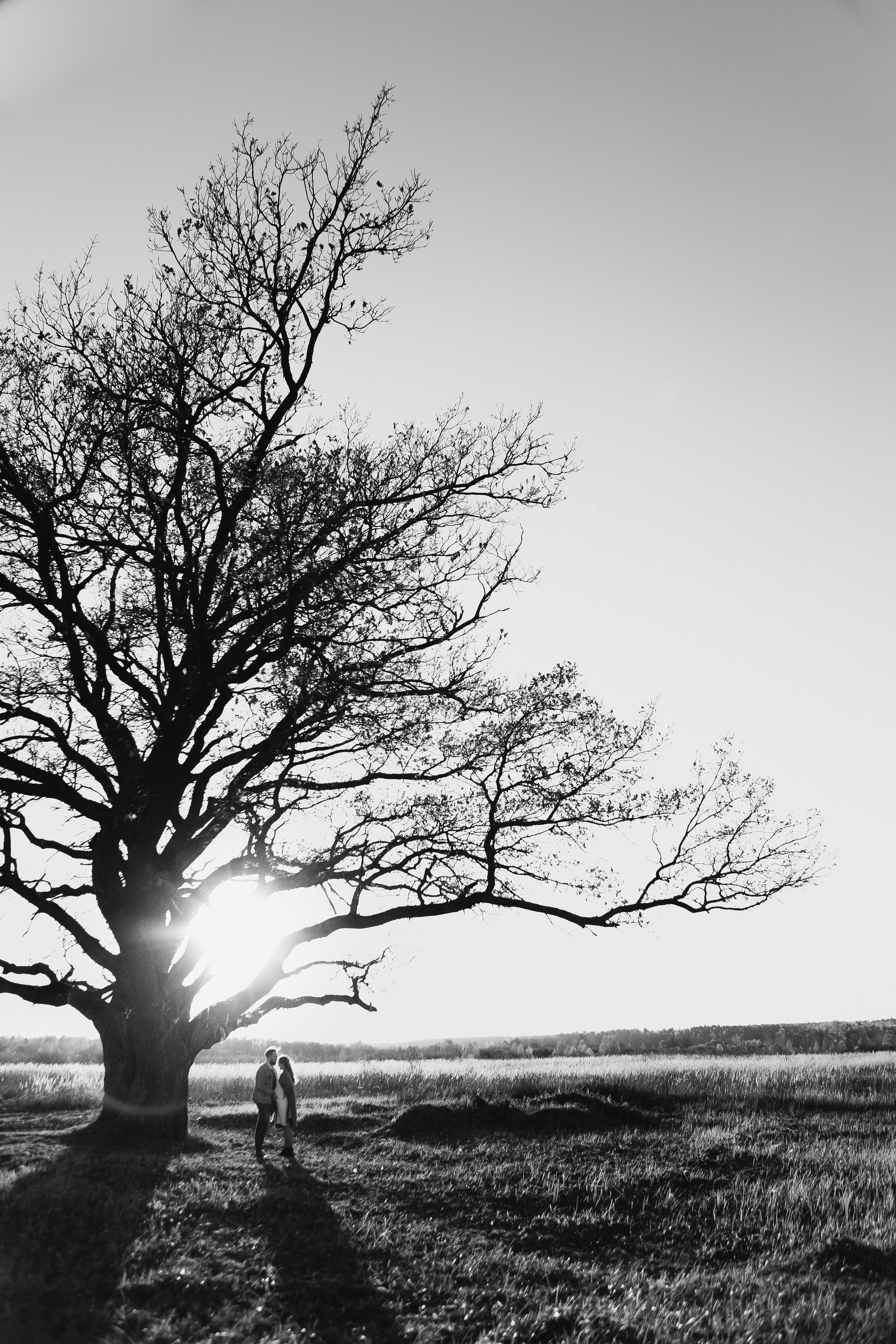 Е & Е. Фотограф Кольчугино/Владимир/Москва Елизавета Иода