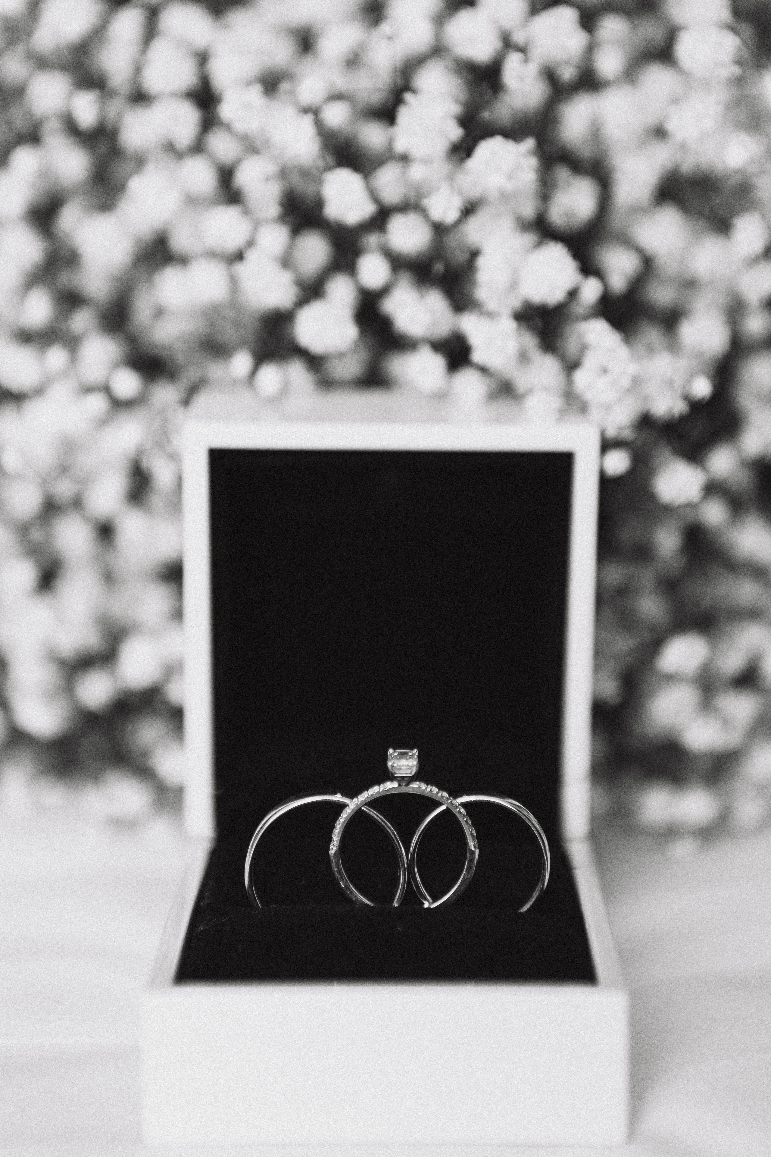 Р & В`22. Фотограф Кольчугино/Владимир/Москва Елизавета Иода