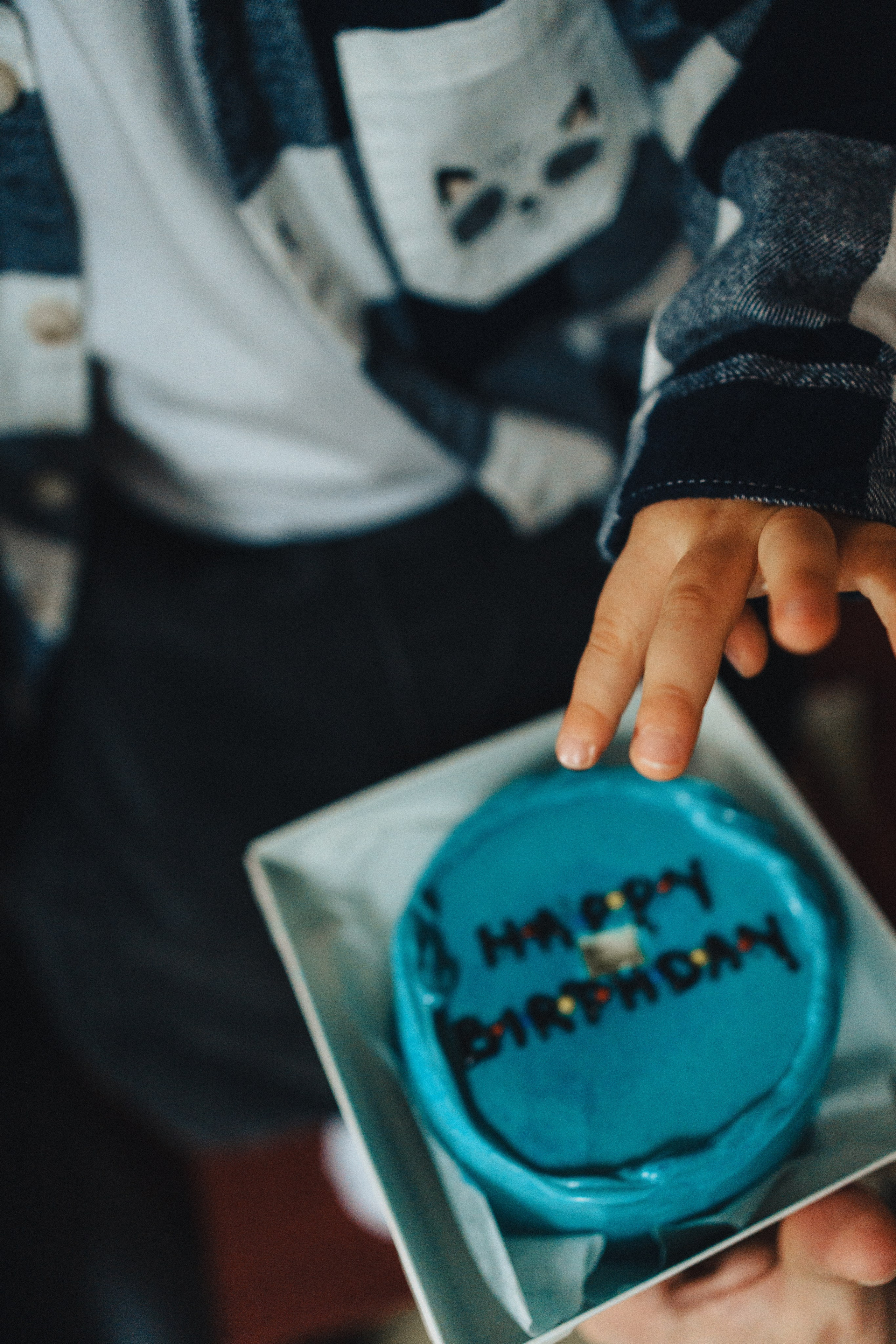 Льву 2 года. Семейный и детский фотограф и видеограф в Москве, Серпухове и Тарусе Валерия Сорокина