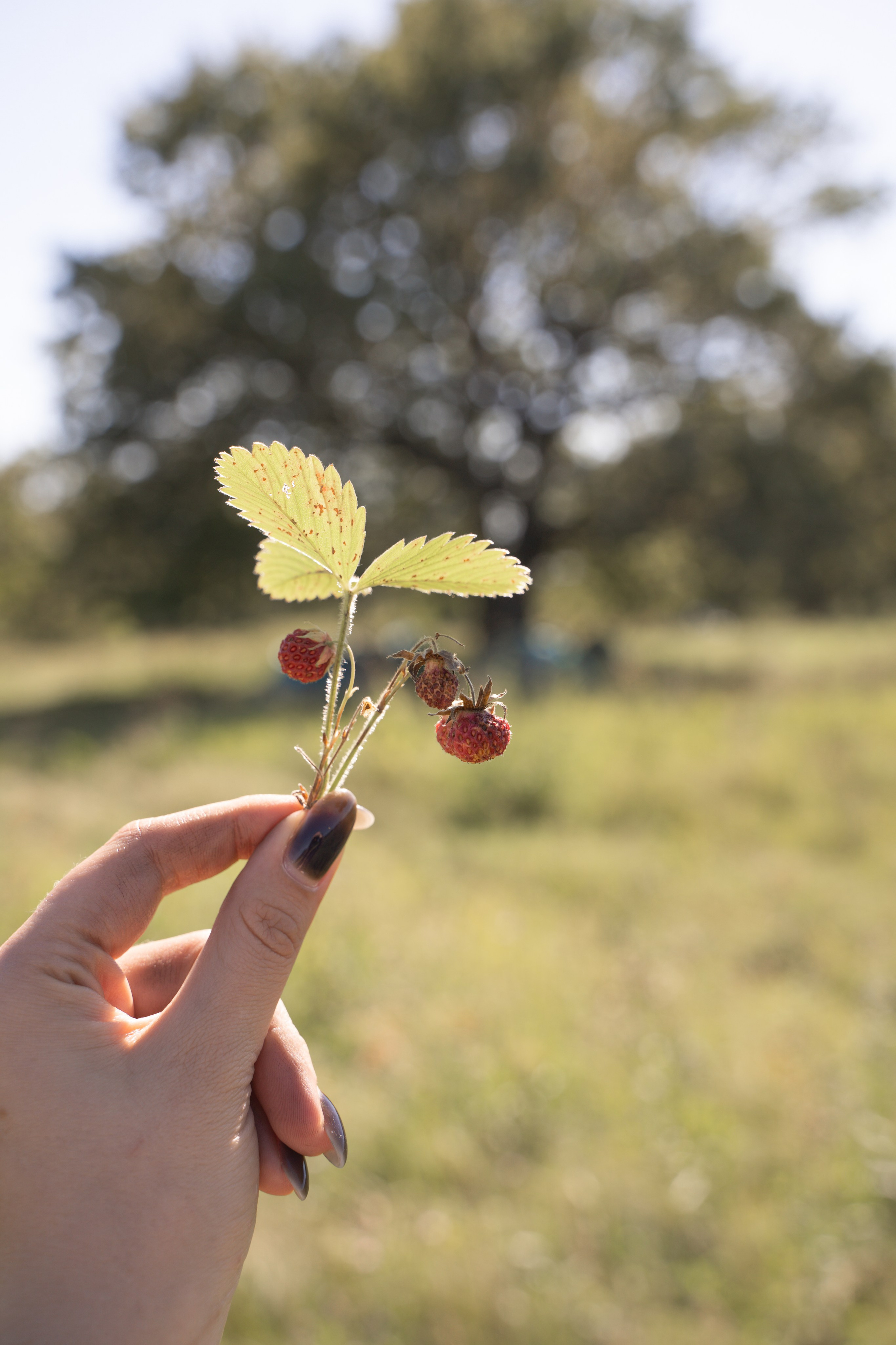 Палаточный форум для взрослых CAMPot 2024. Фотограф Надежда Погребняк | Рязань | Москва