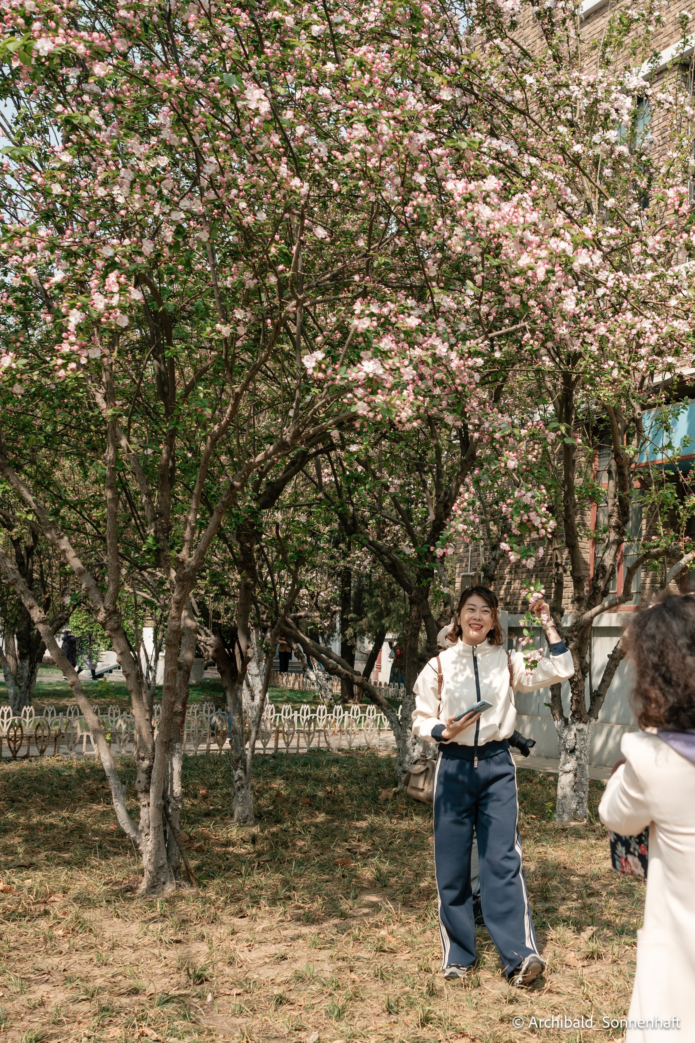 TJU blooming fest. Photographer in Guangzhou, China. Archibald Sonnenhaft