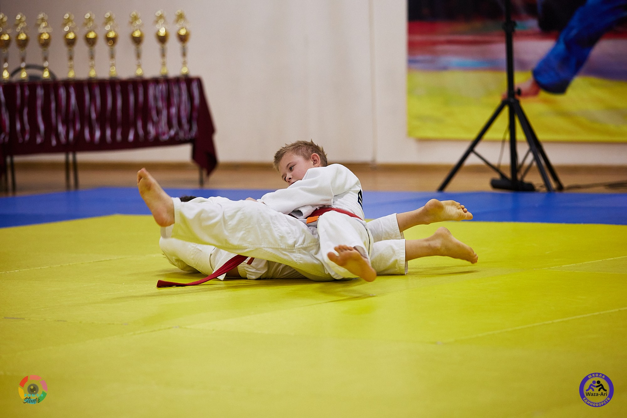 Репортаж Турнир по дзюдо. Спортивный фотограф Некрасов Денис