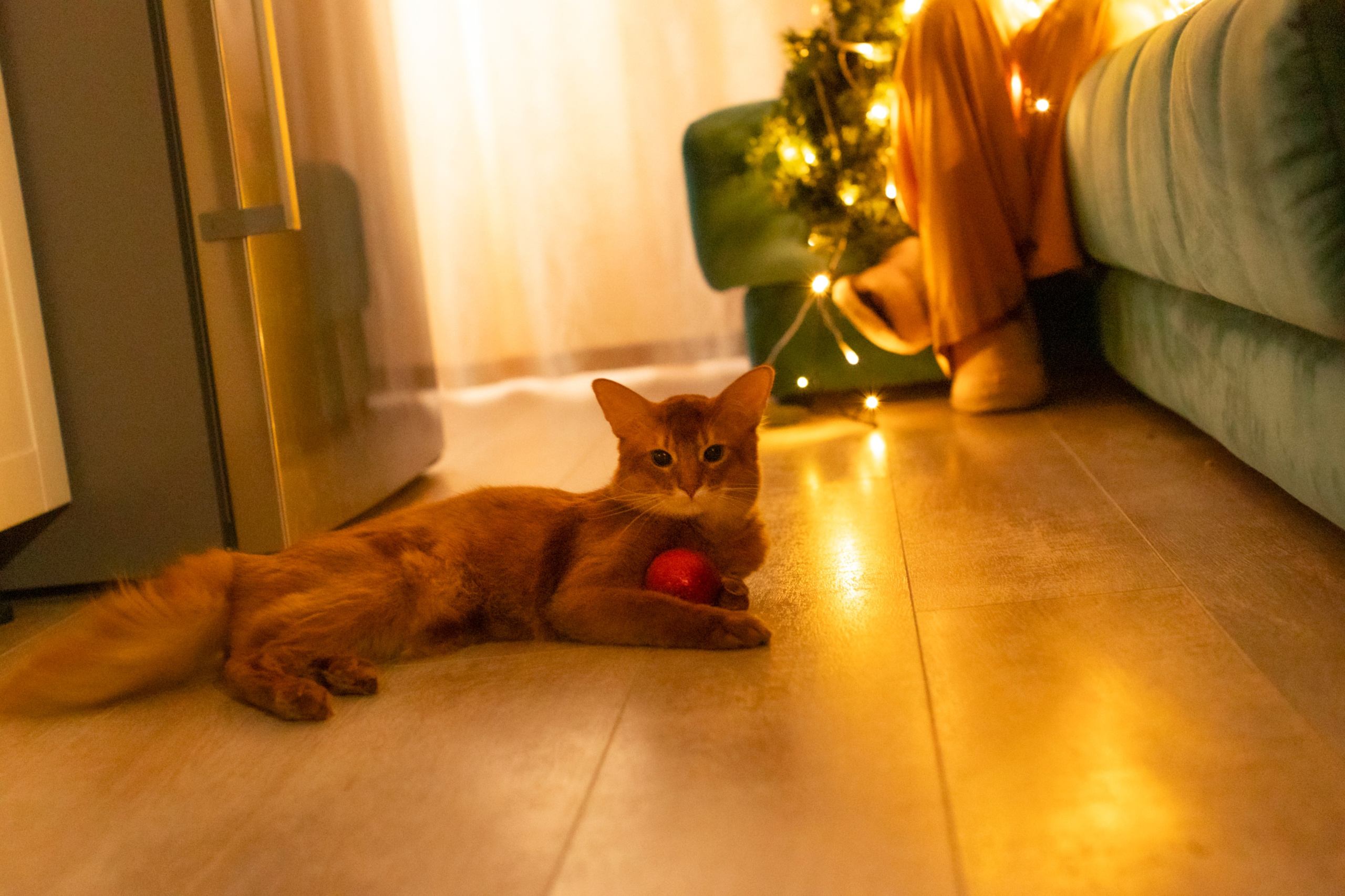 Сомали. Art my Pho