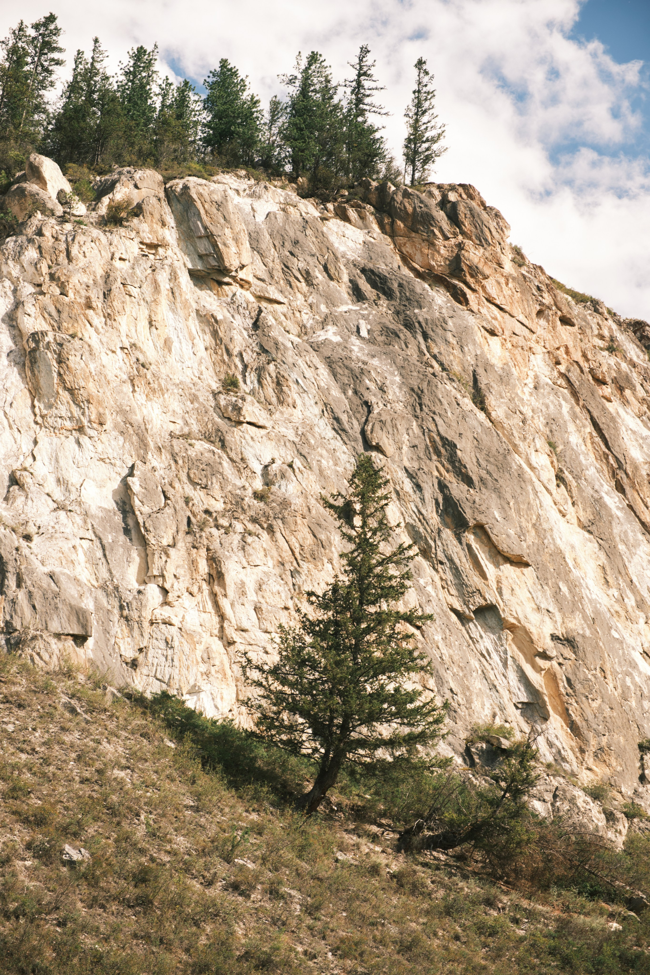 Природа. Антон Ив