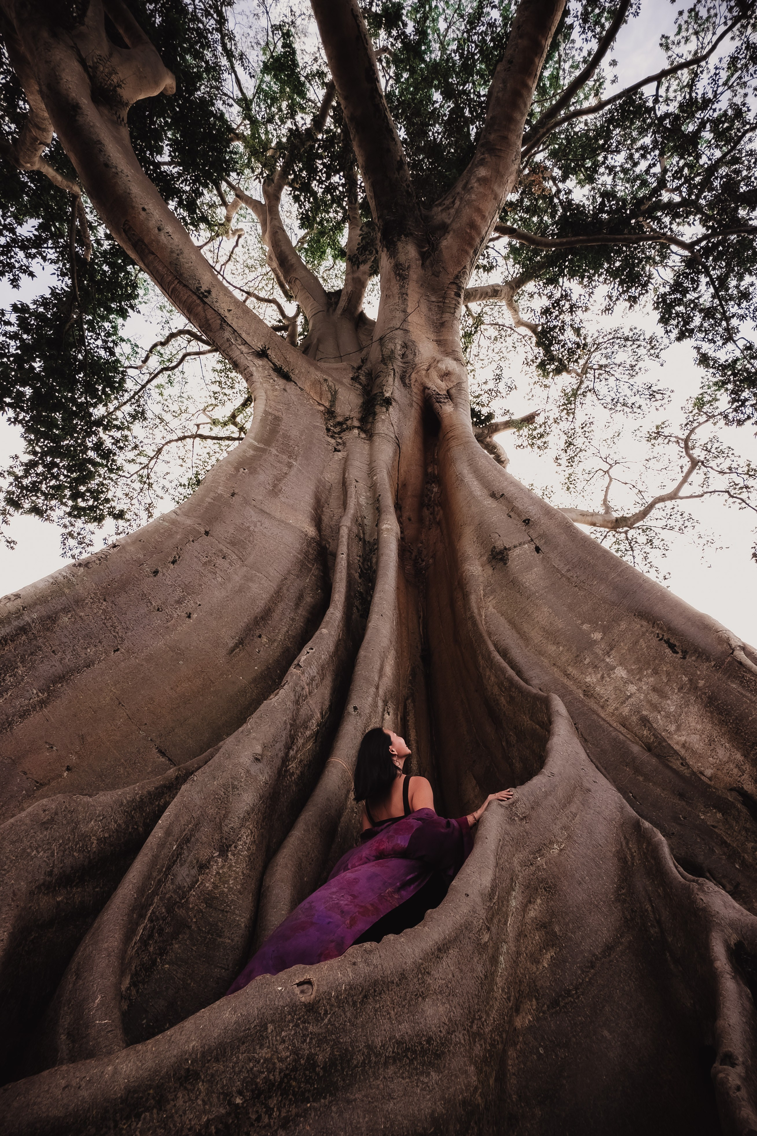 Banyan date. Mariam Bagdasaryan