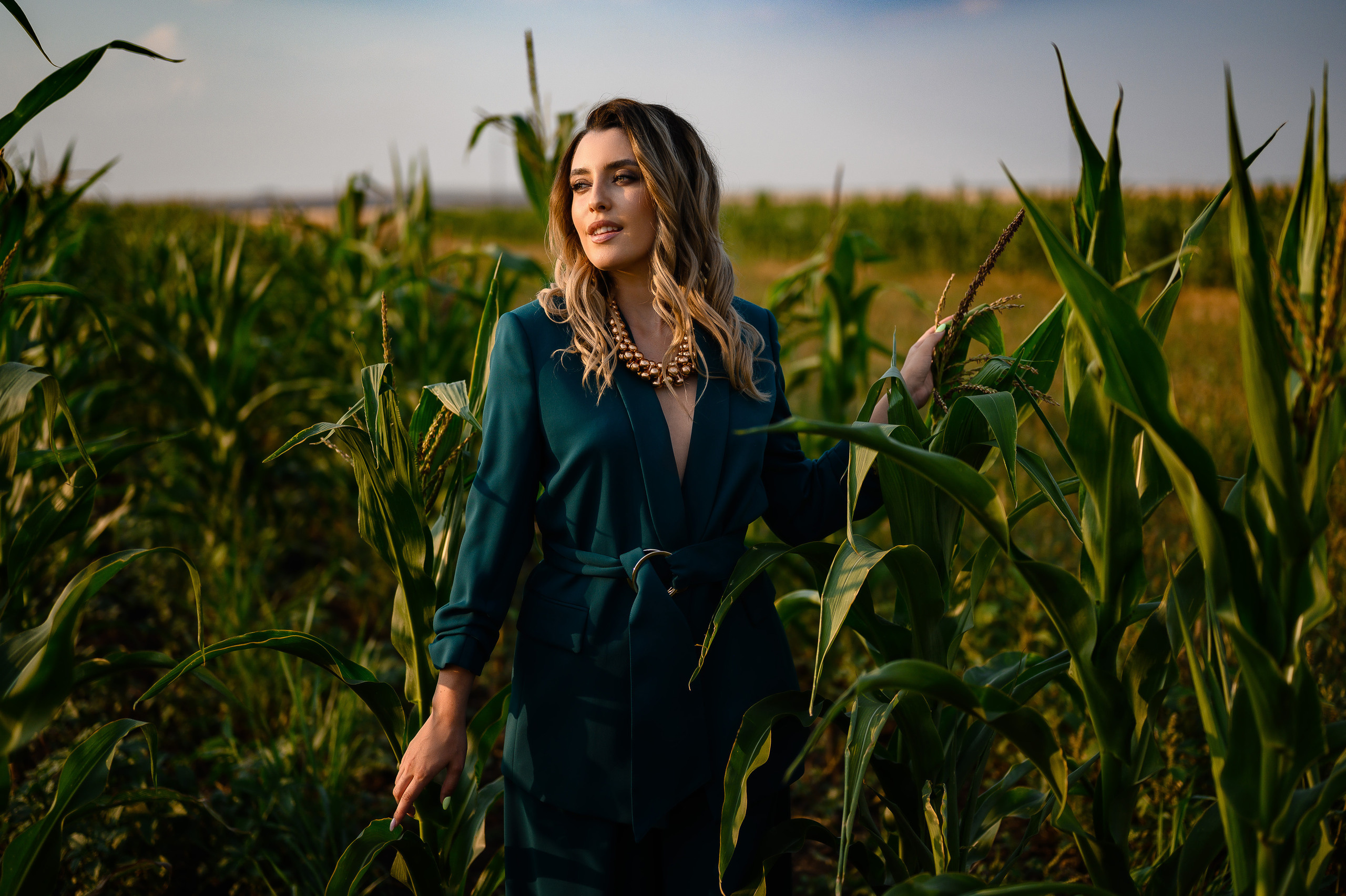 Кукурузное поле