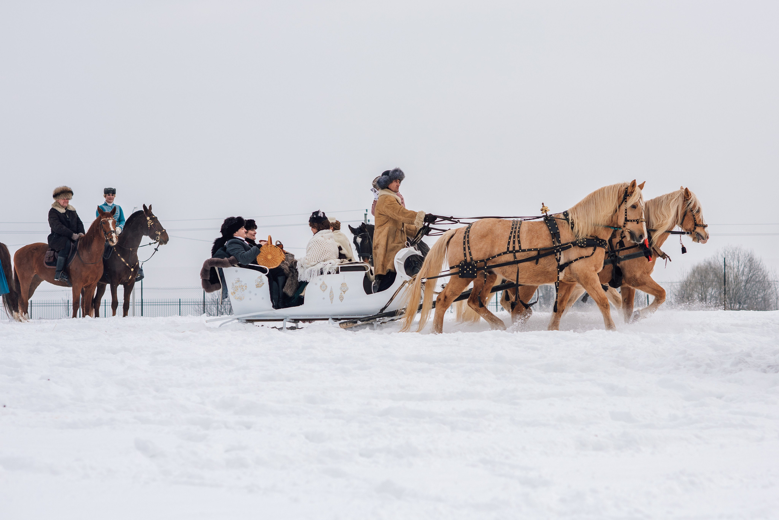 Зимняя парфорсная охота. Фотограф Диана Вальтер