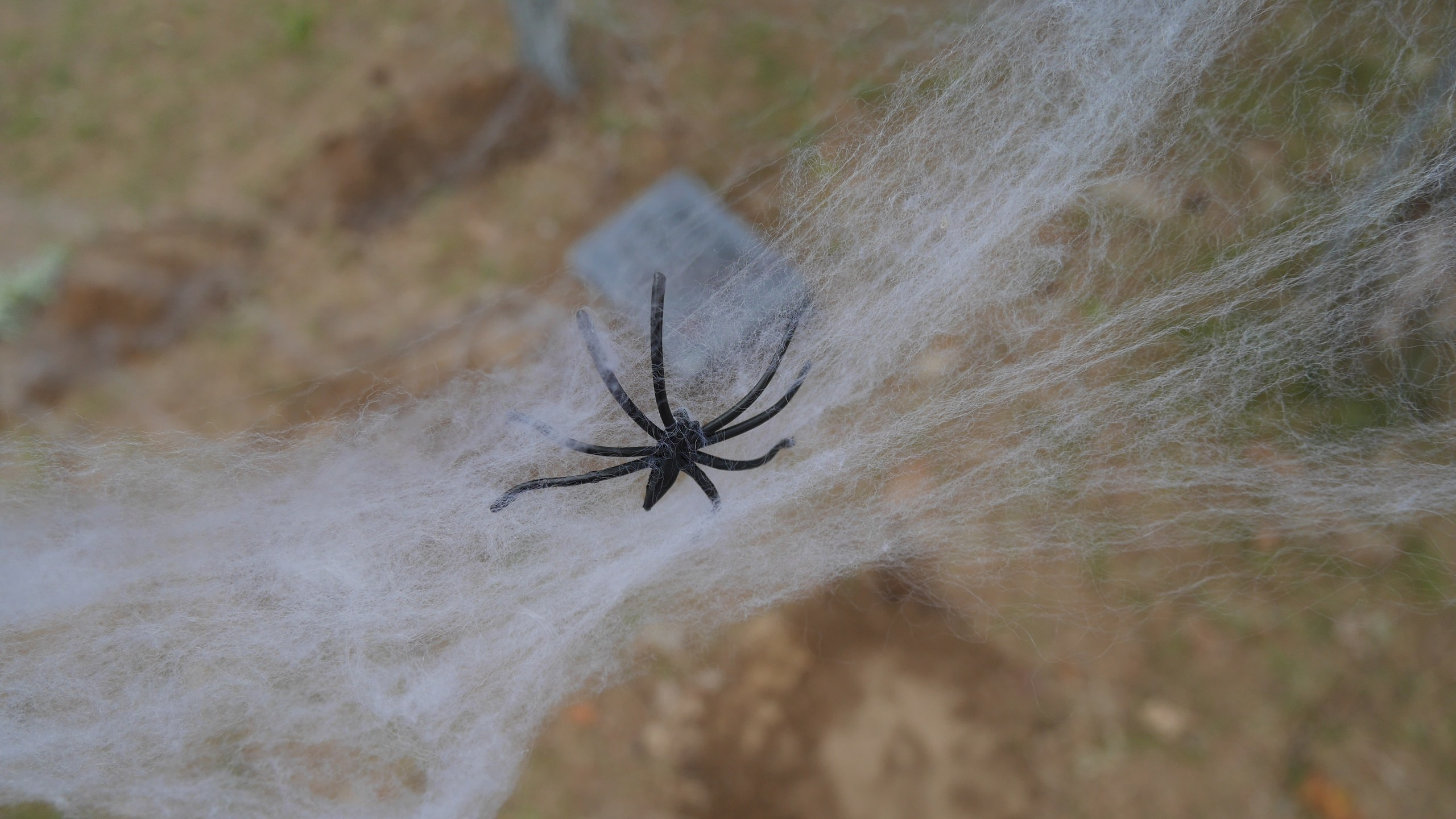 Походная романтика 28! Шабаш | 13-15.07.2018. Галерея Фантим