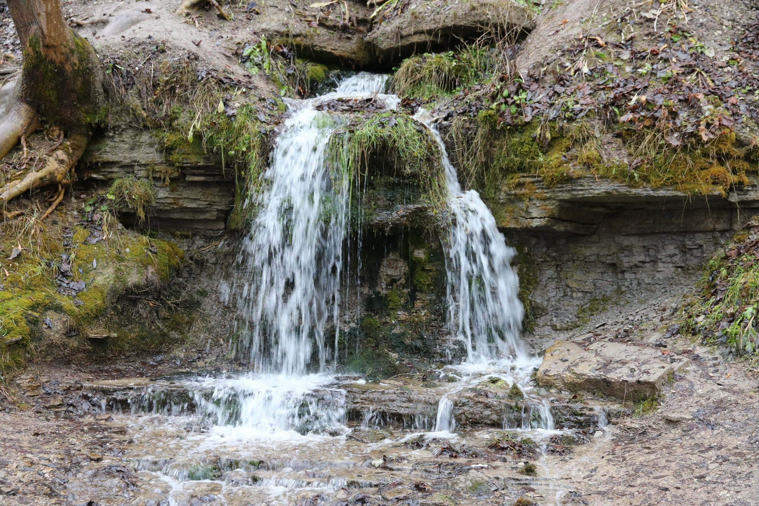 Псков | 18-20.11.2016. Галерея Фантим