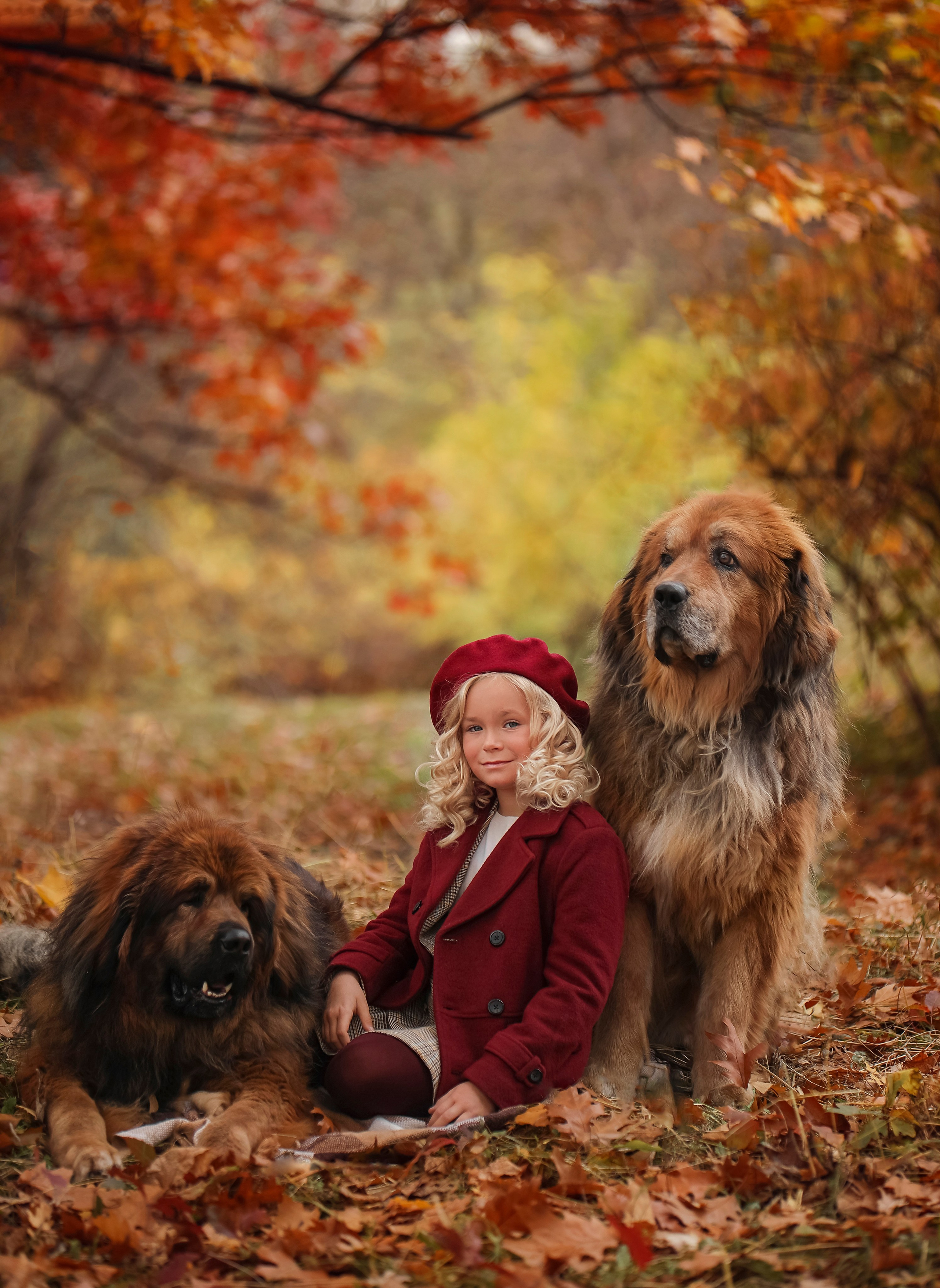 Парк Коломенское с Мастифами. Детский и семейный фотограф г. Москва Оксана Катаджи