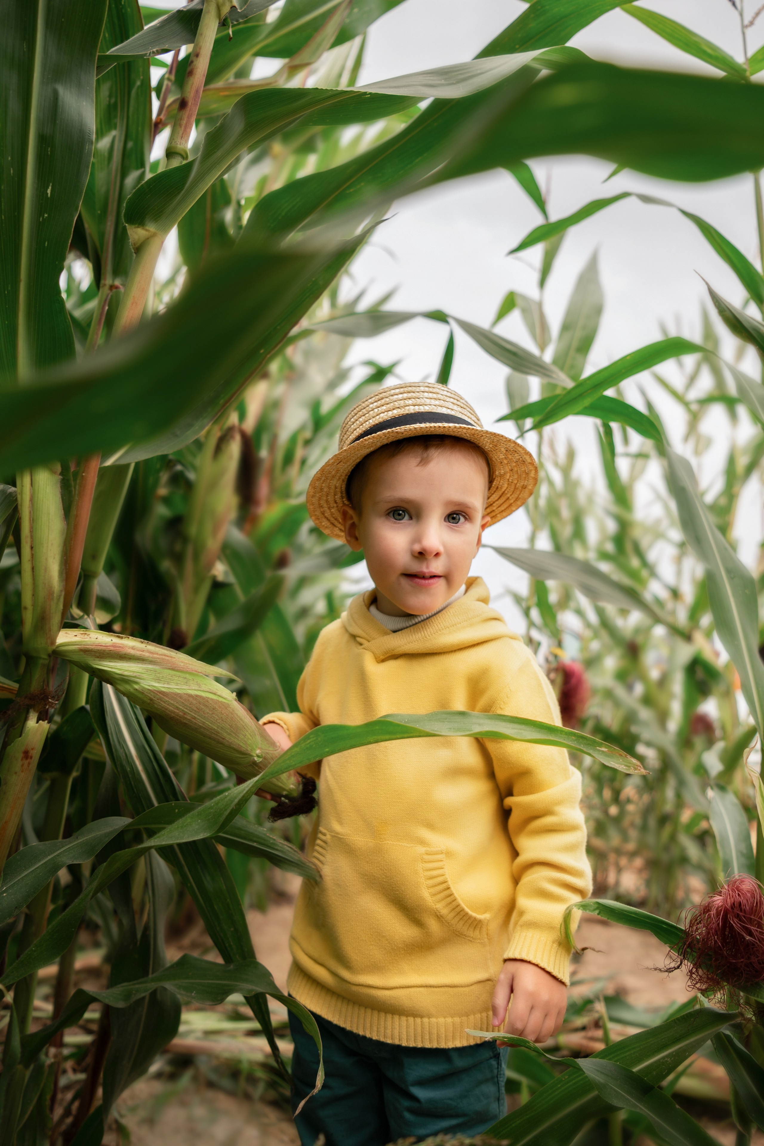Фотосессия в кукурузе. Детский и семейный фотограф г. Москва Оксана Катаджи