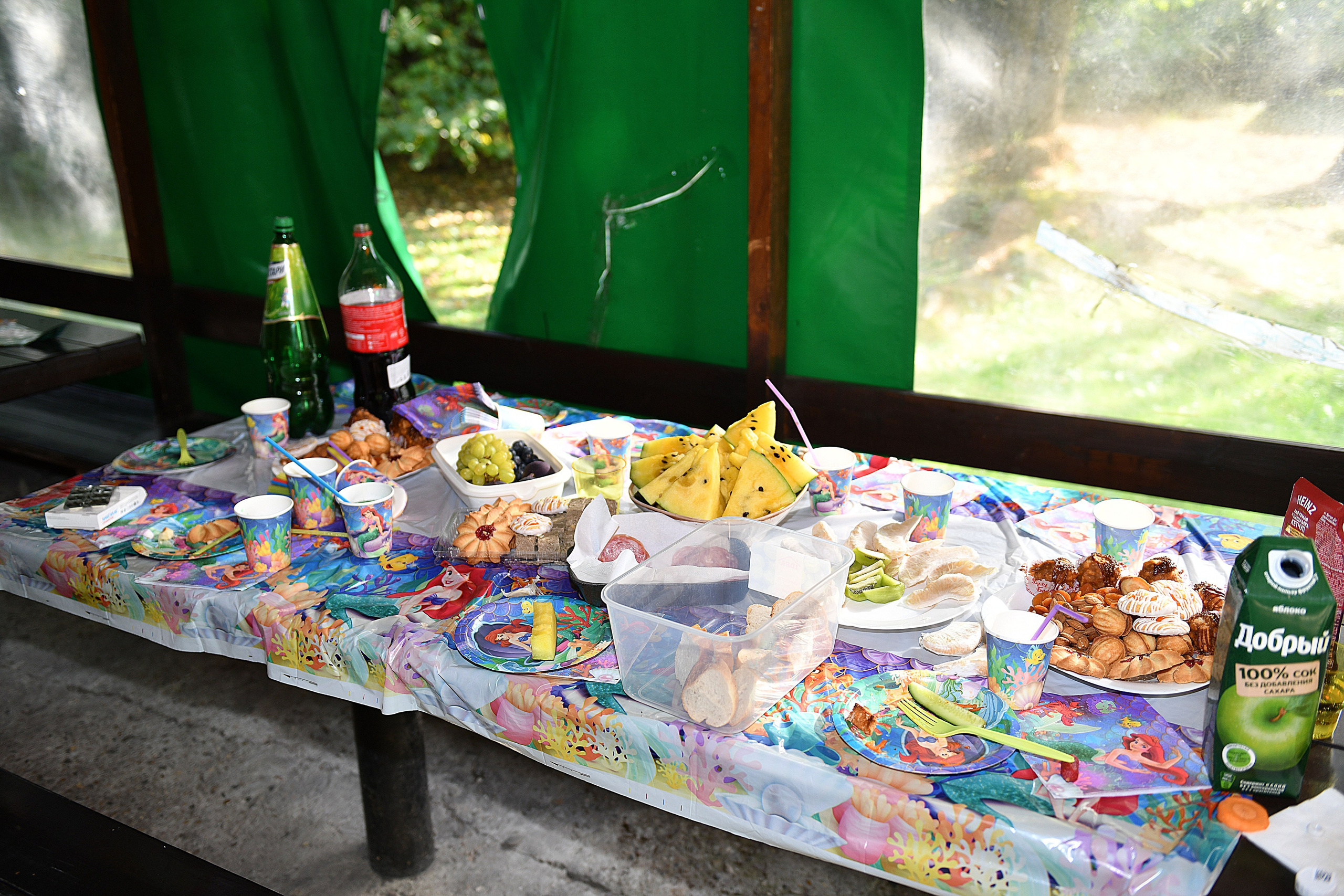 День рождения Есении. Истра. Свадебные съёмки в Москве и МО Галина Борисова