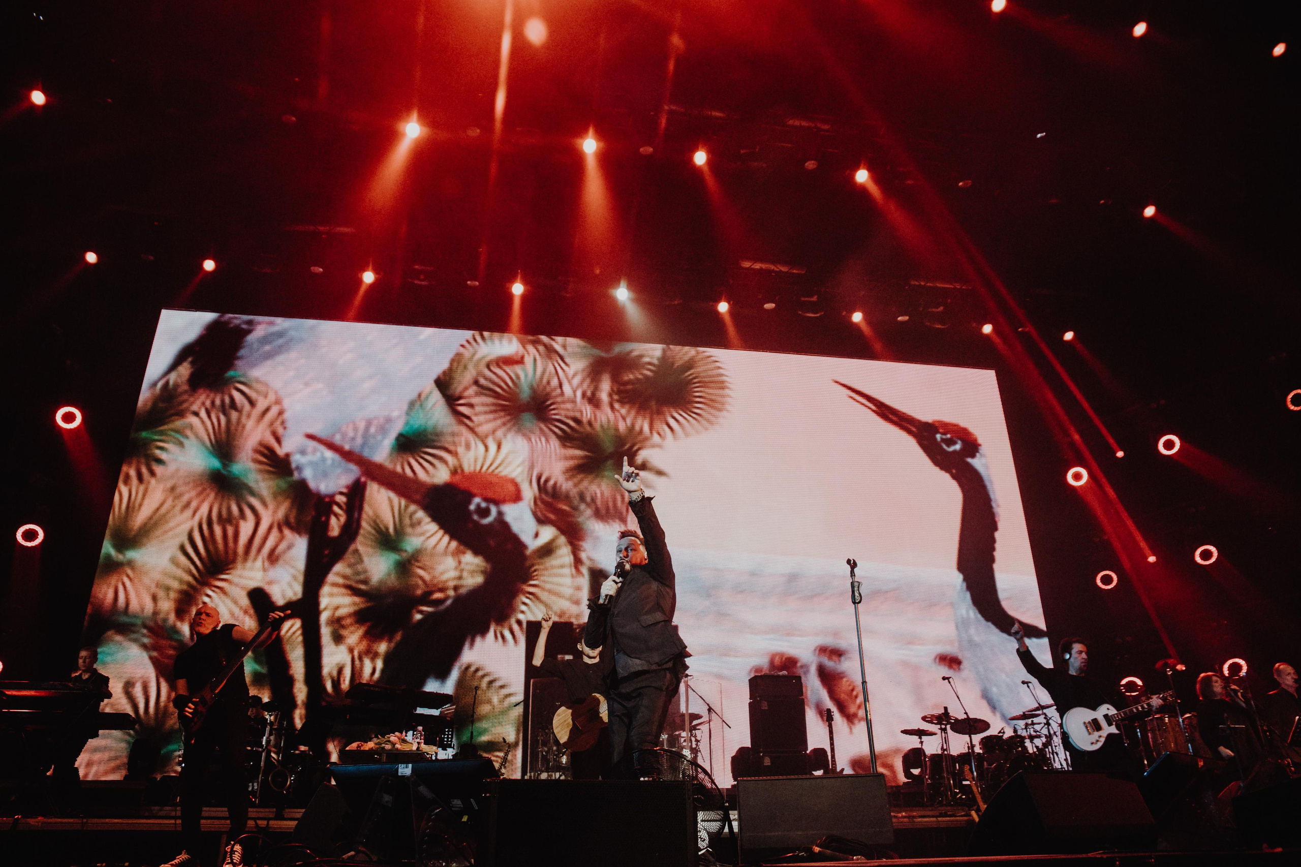 Стас Михайлов, Crocus City Hall. Фотограф Ольга Махалова — Санкт-Петербург, Москва, Нижний Новгород