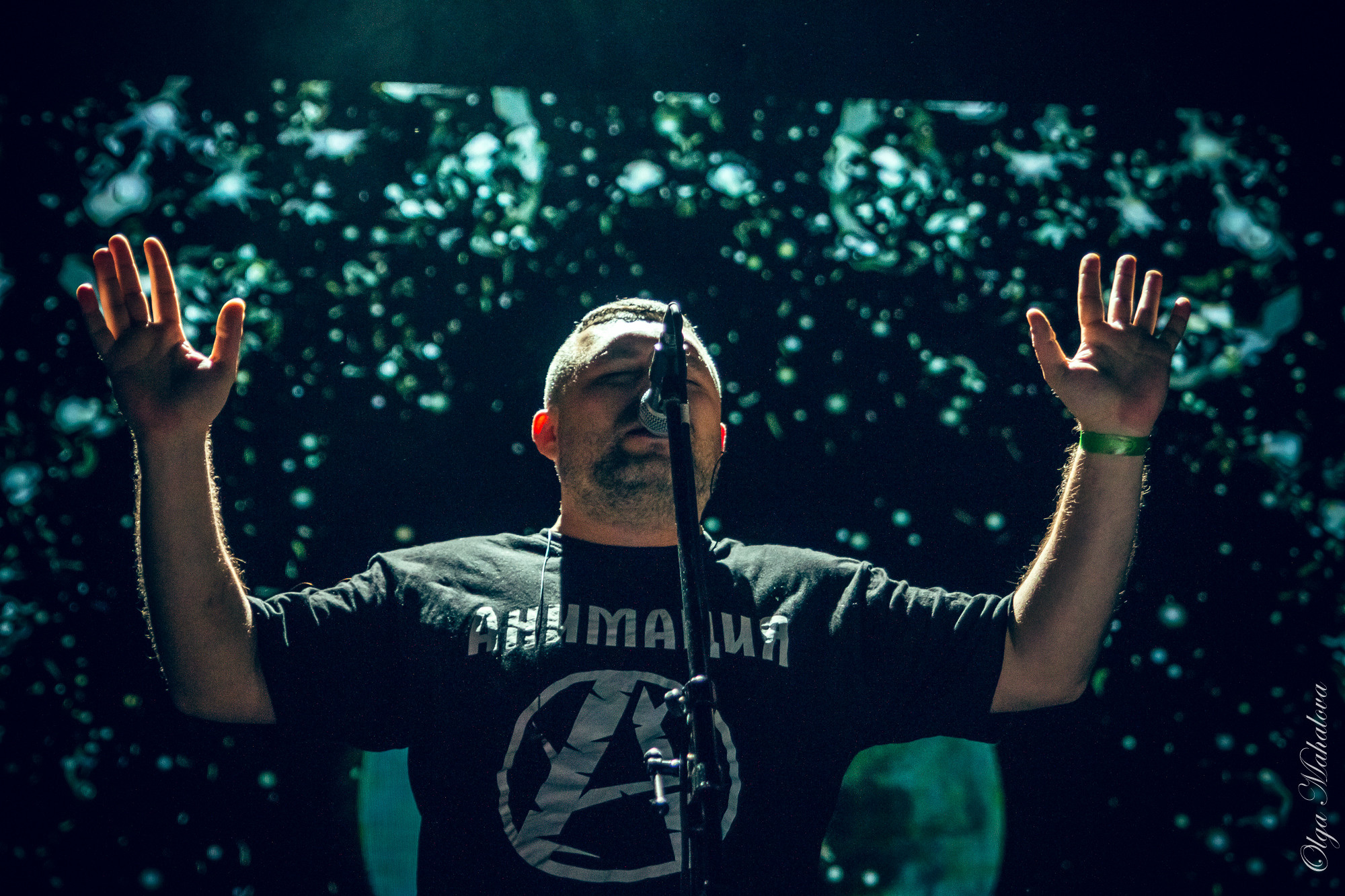 Анимация, ГЛАВCLUB. Фотограф Ольга Махалова — Санкт-Петербург, Москва, Нижний Новгород