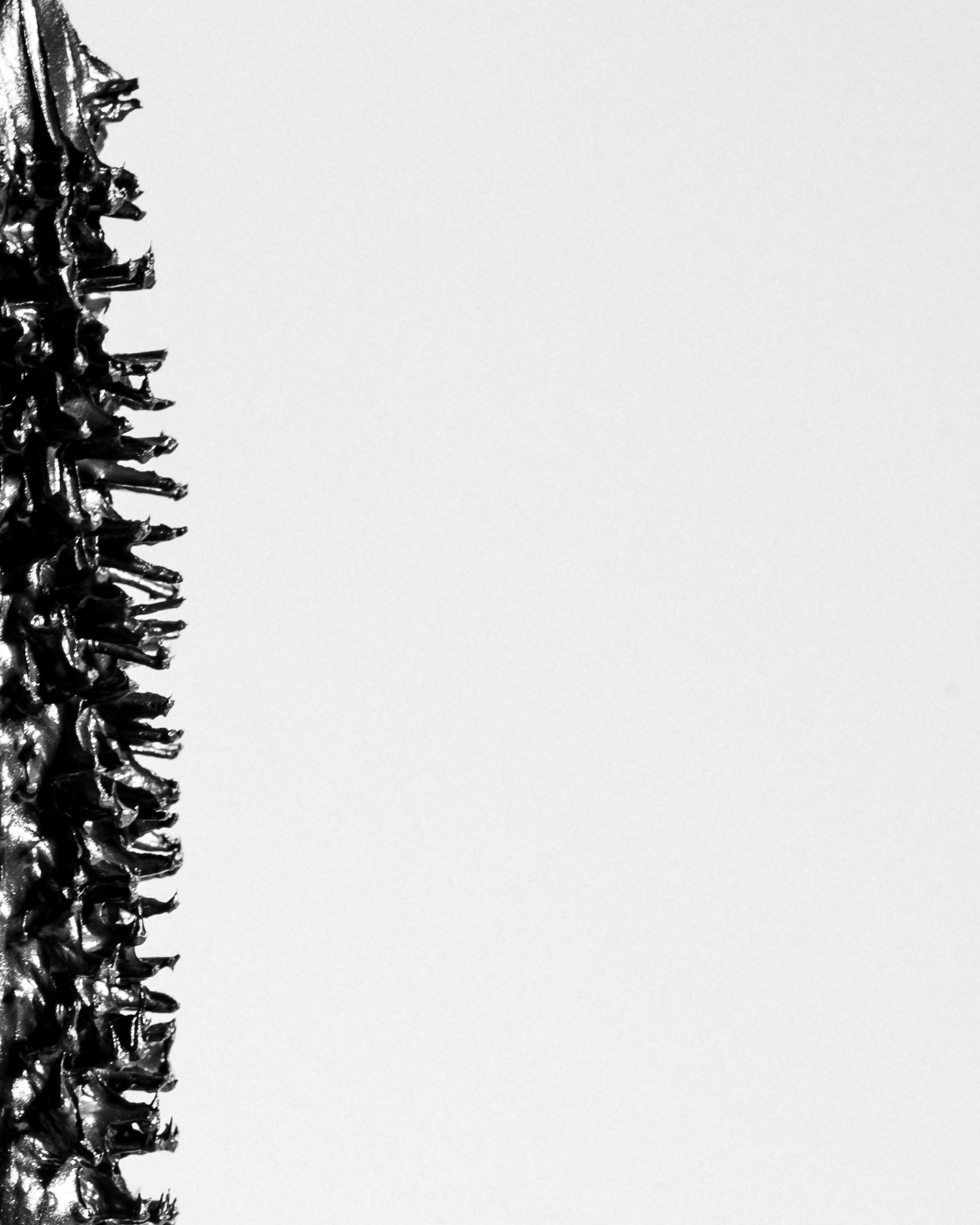 Image shooting. Photographer Anastasia Bondarchuk