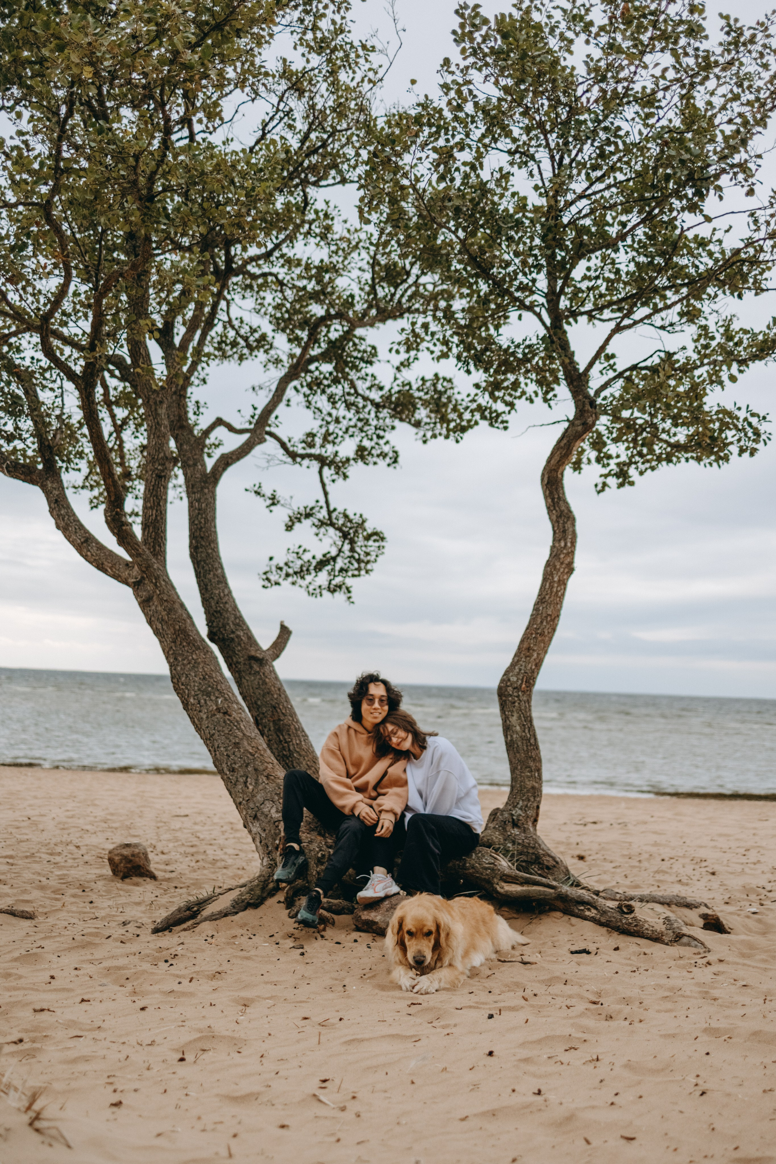 Фоси и его семьи. Фотограф — Анималист | Санкт-Петербург