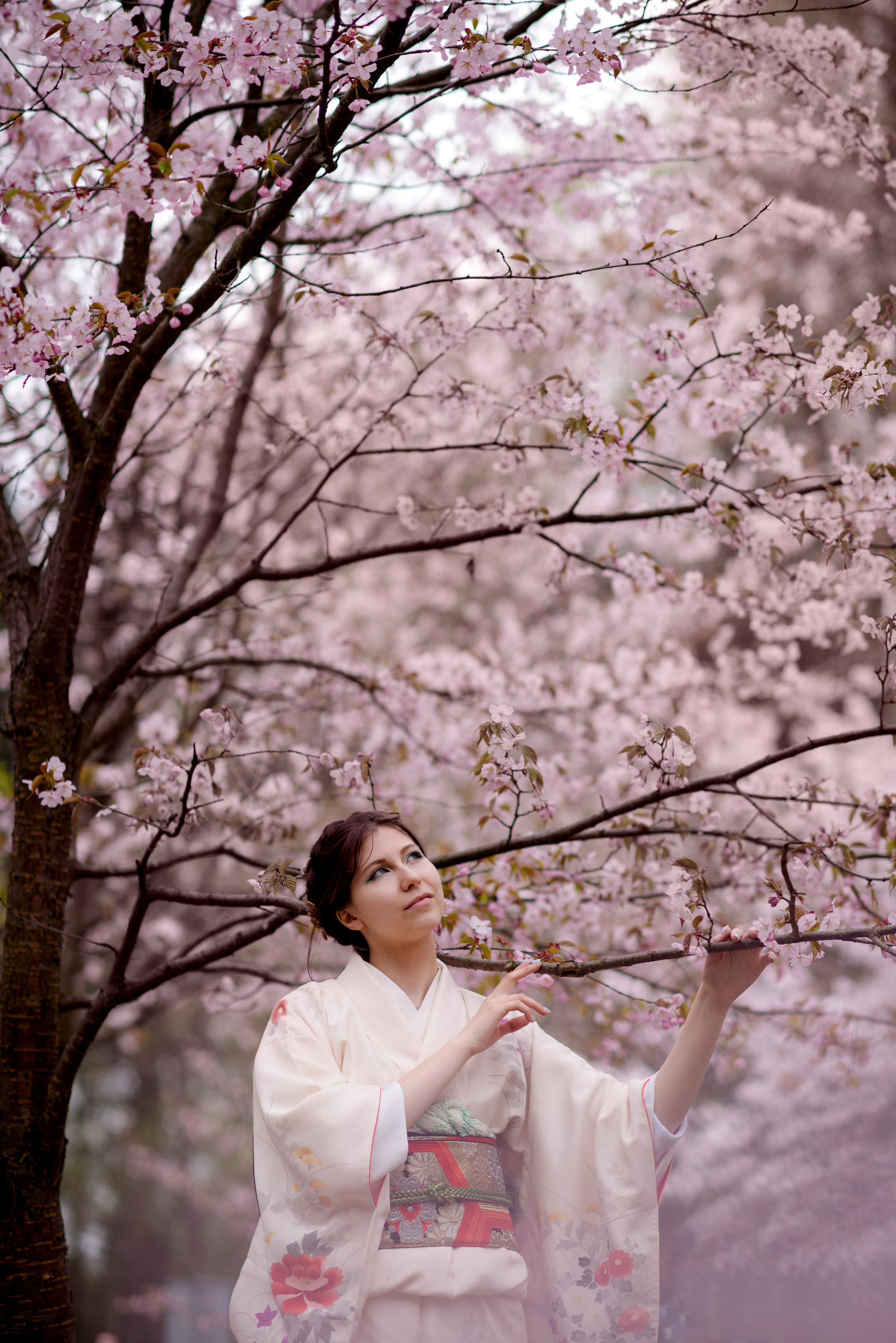 Любование сакурой в Бирюлевском дендропарке. Главная