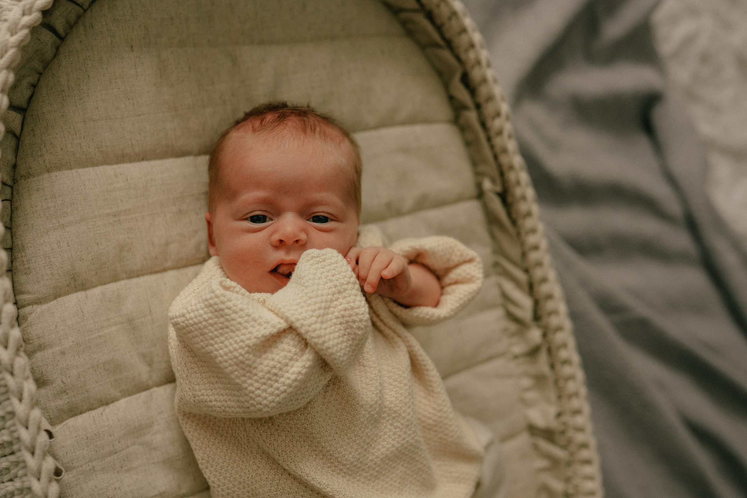 Лена, Игорь, Арина, Агата. Семейный фотограф Москва