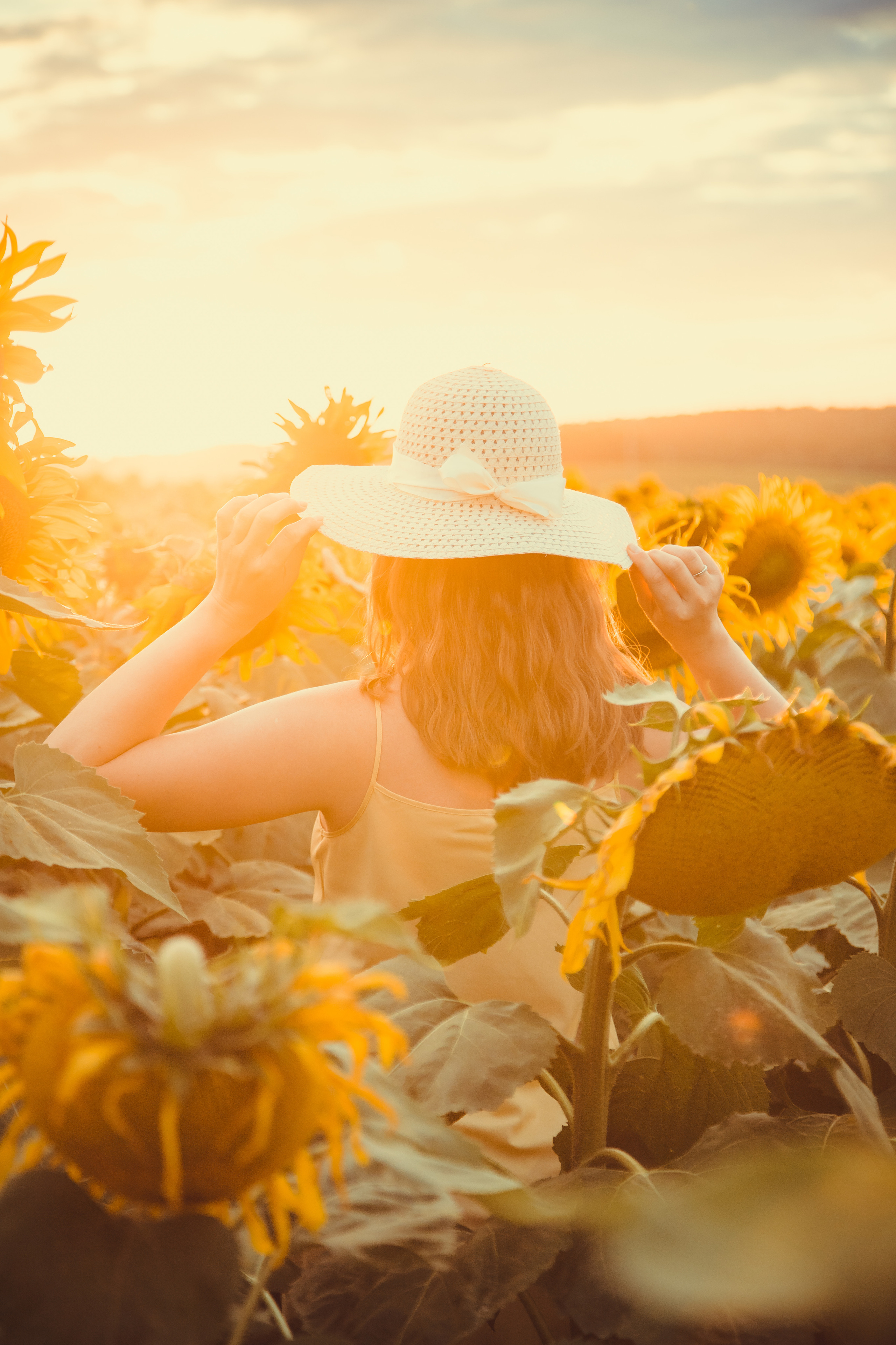 Подсолнухи. Фотография и видеосъёмка