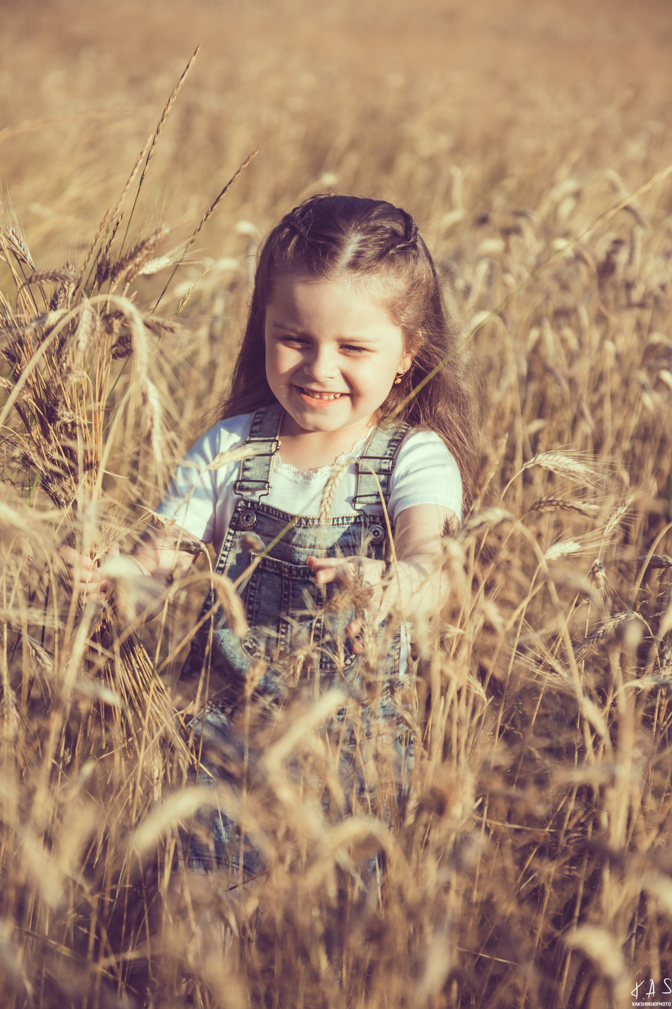 Колоски. Фотография и видеосъёмка