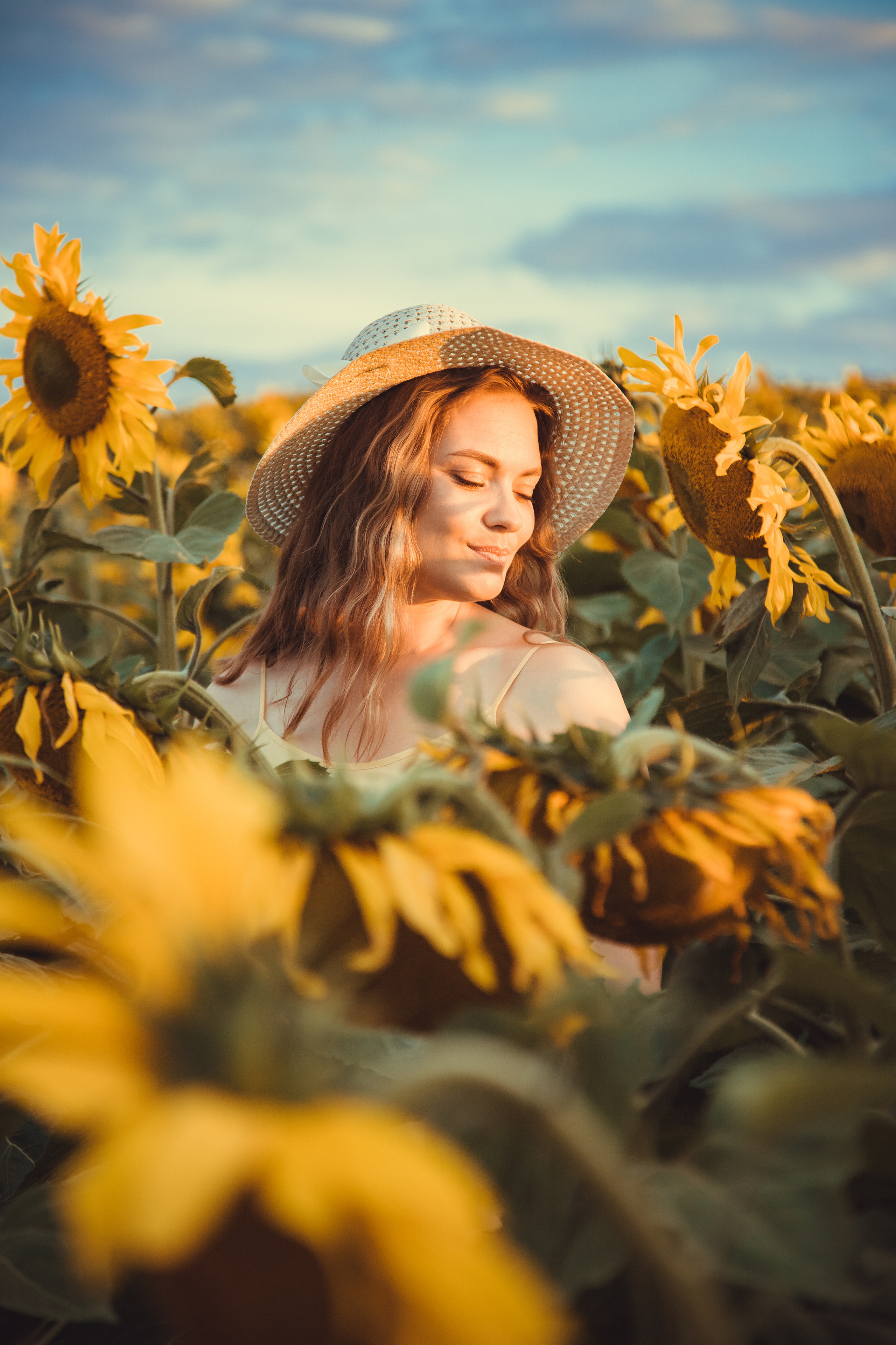 Подсолнухи. Фотография и видеосъёмка