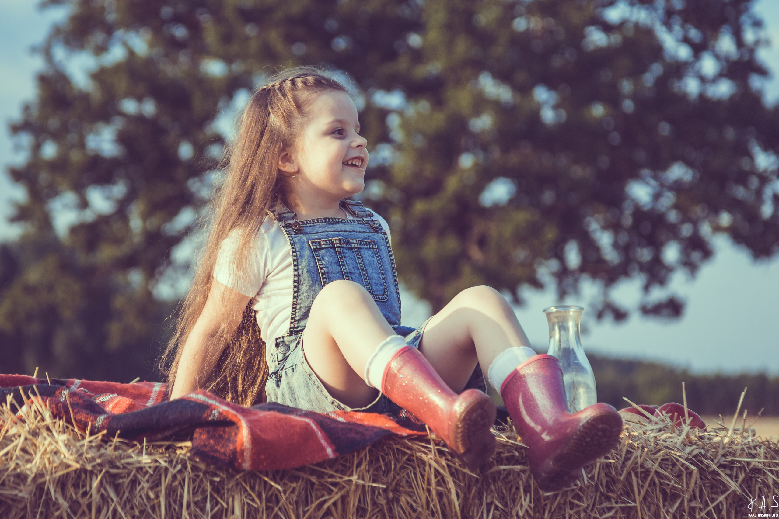 Колоски. Фотография и видеосъёмка