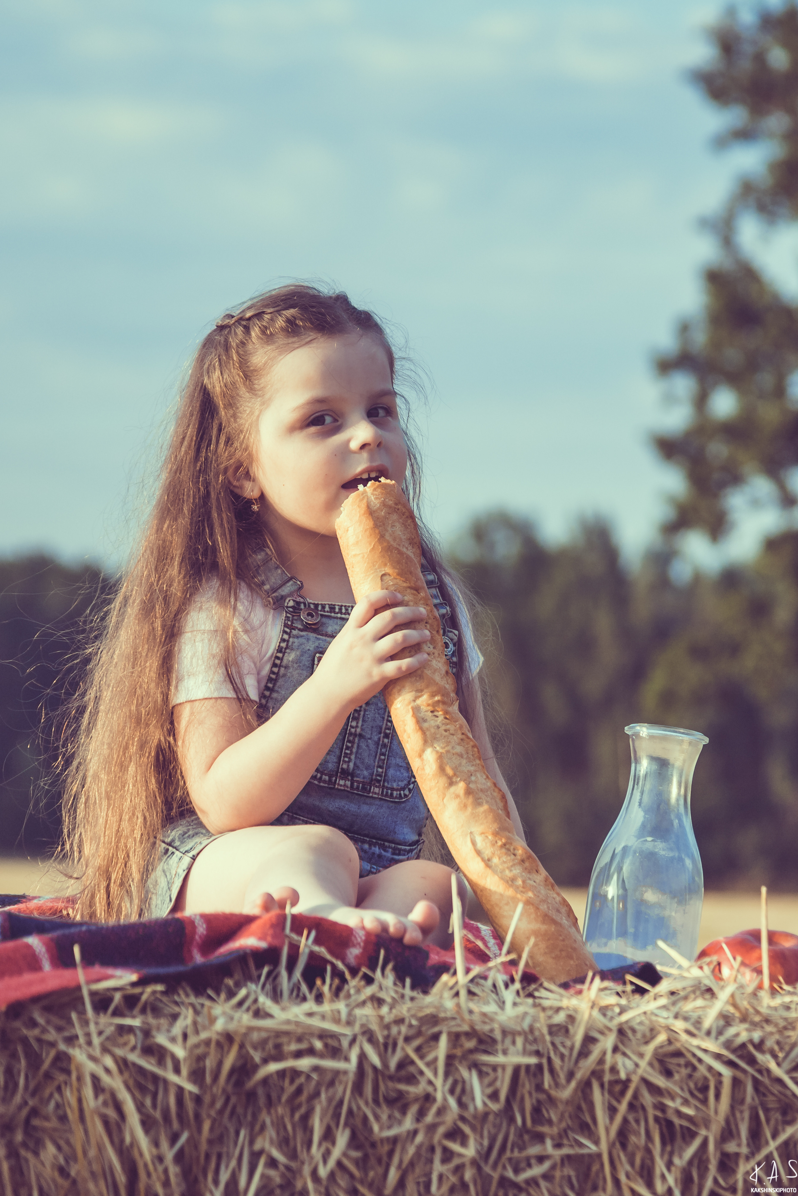 Колоски. Фотография и видеосъёмка