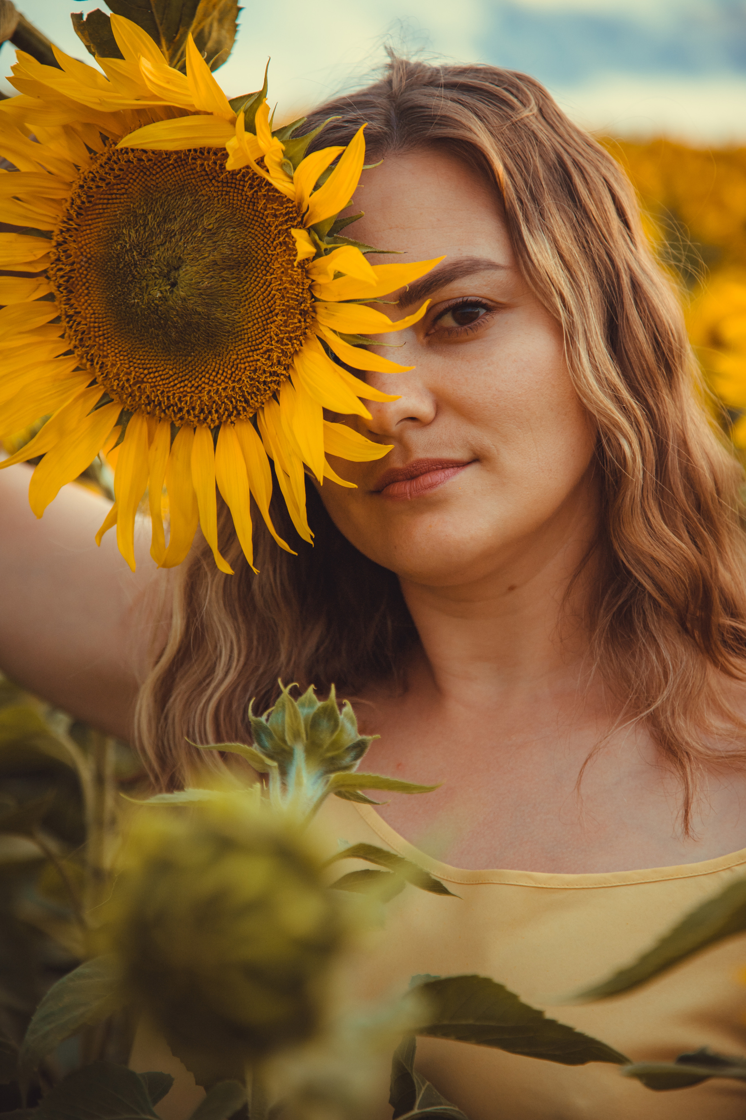 Подсолнухи. Фотография и видеосъёмка