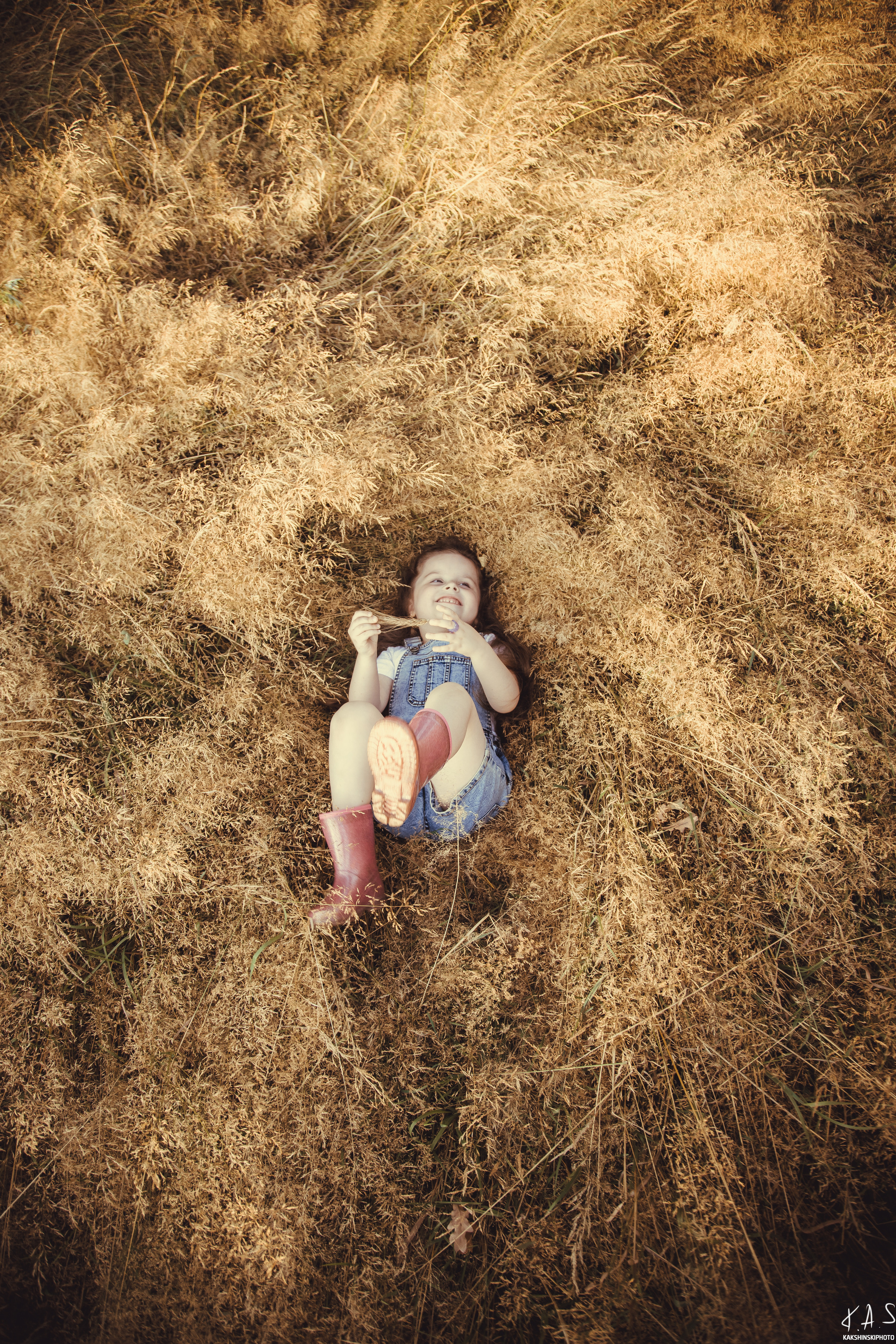 Колоски. Фотография и видеосъёмка