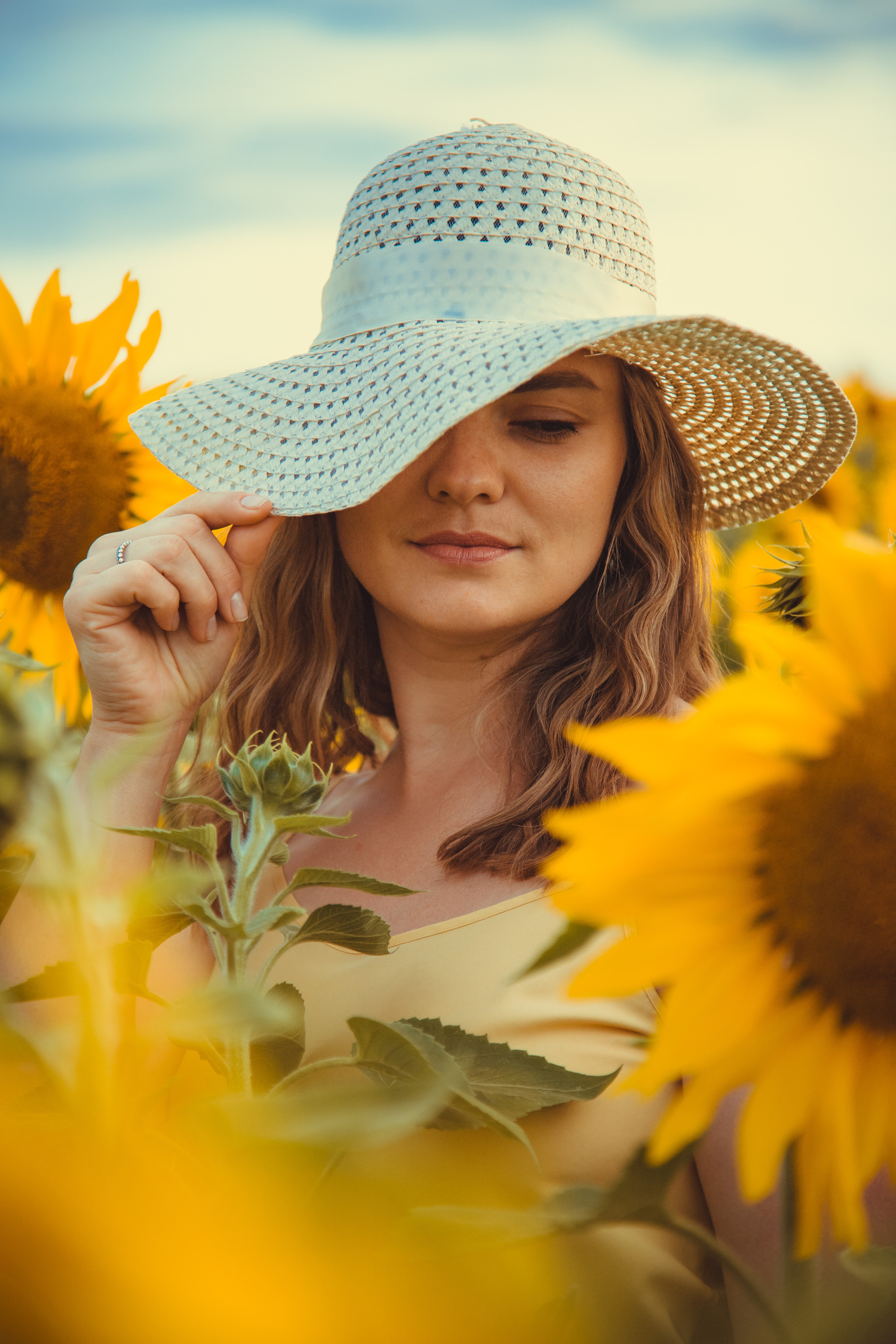 Подсолнухи. Фотография и видеосъёмка