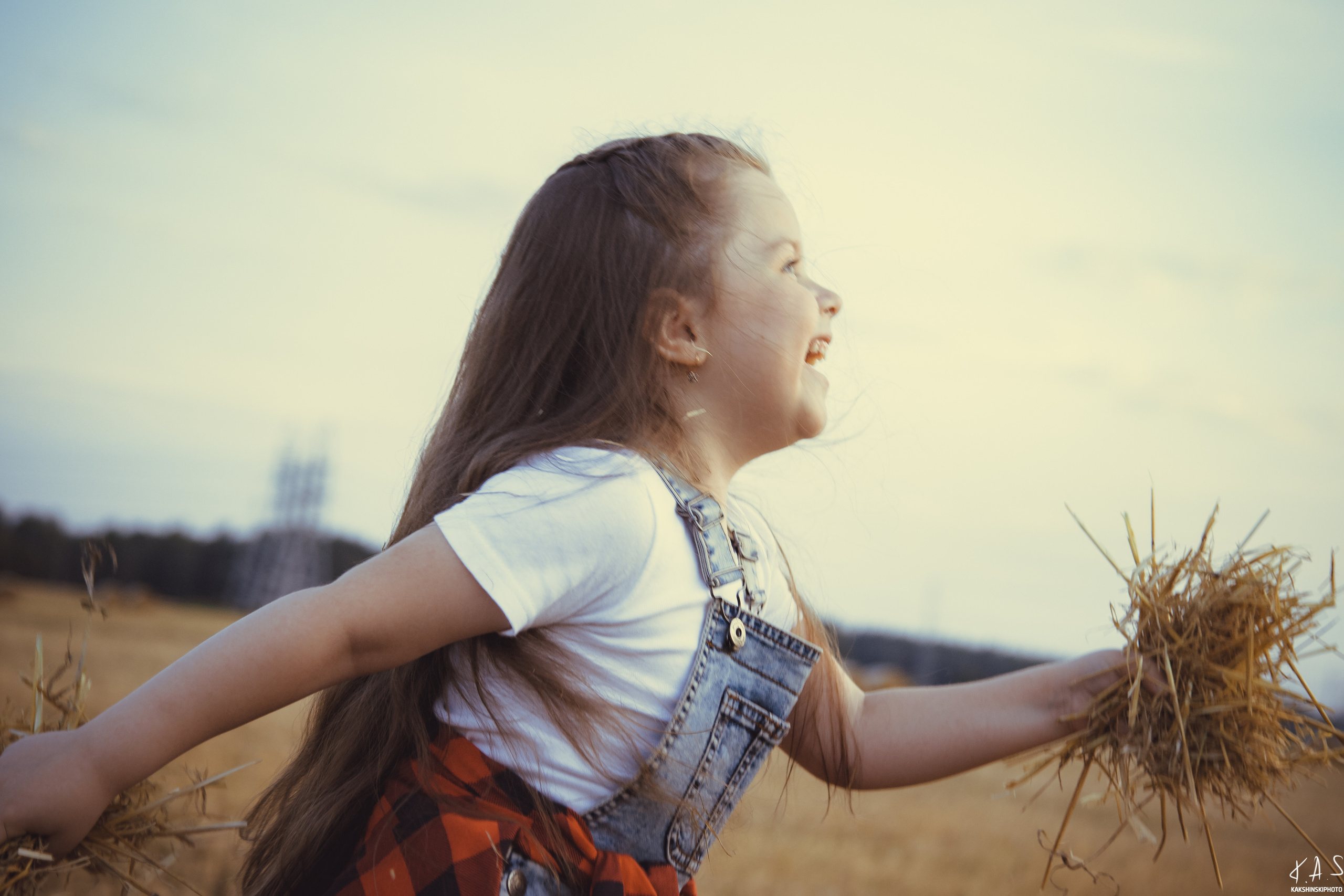 Колоски. Фотография и видеосъёмка