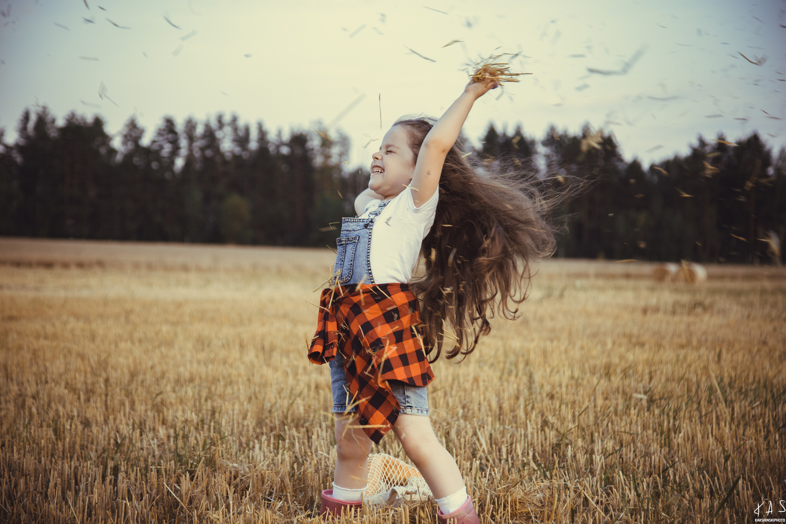 Колоски. Фотография и видеосъёмка