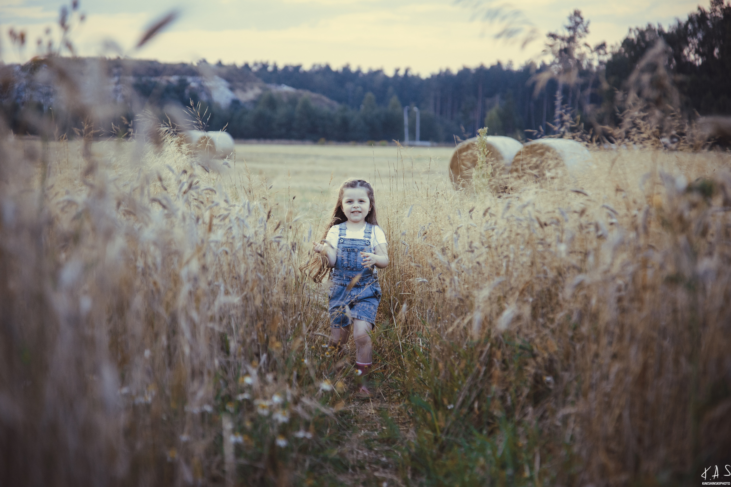 Колоски. Фотография и видеосъёмка