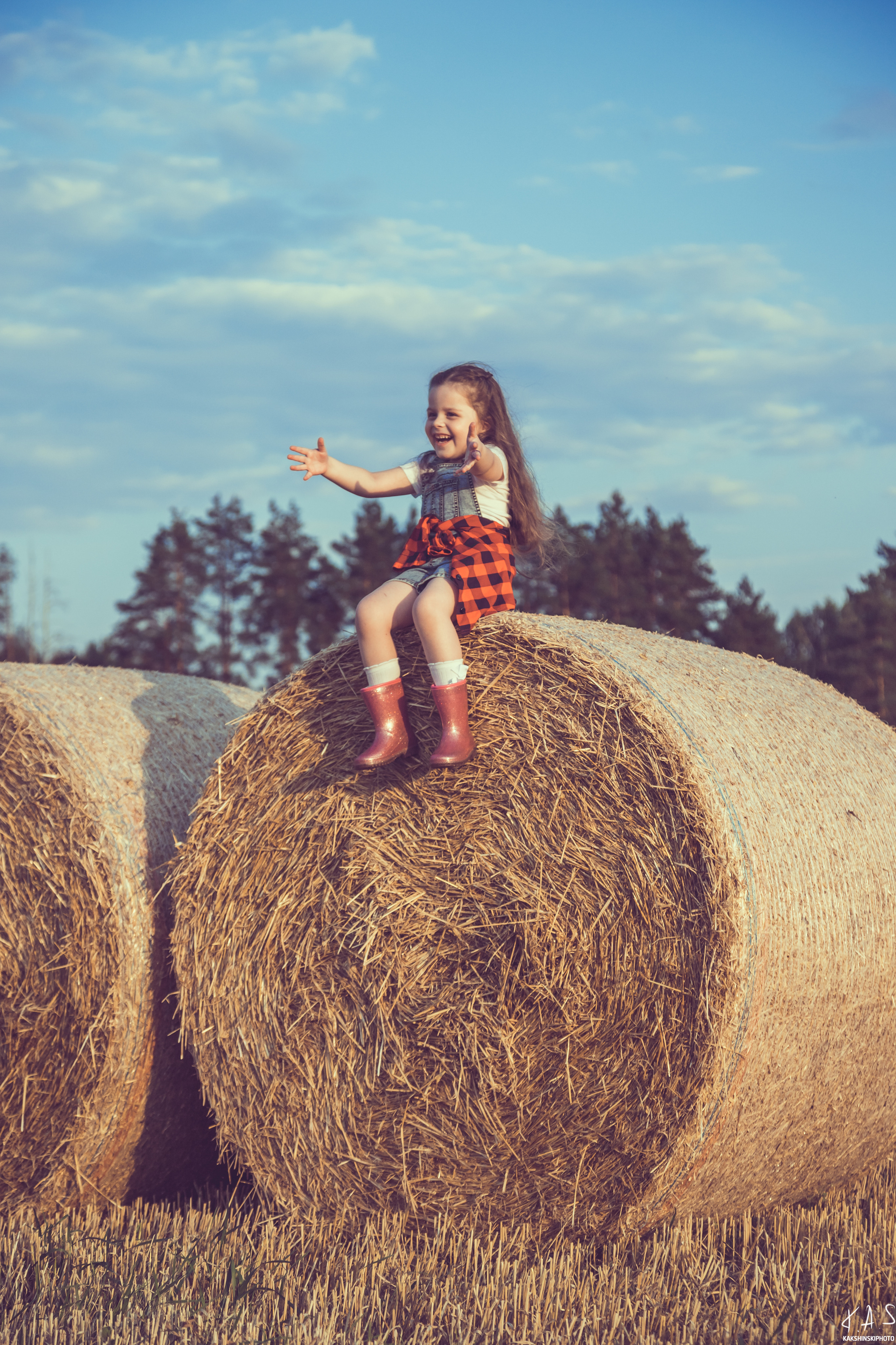 Колоски. Фотография и видеосъёмка