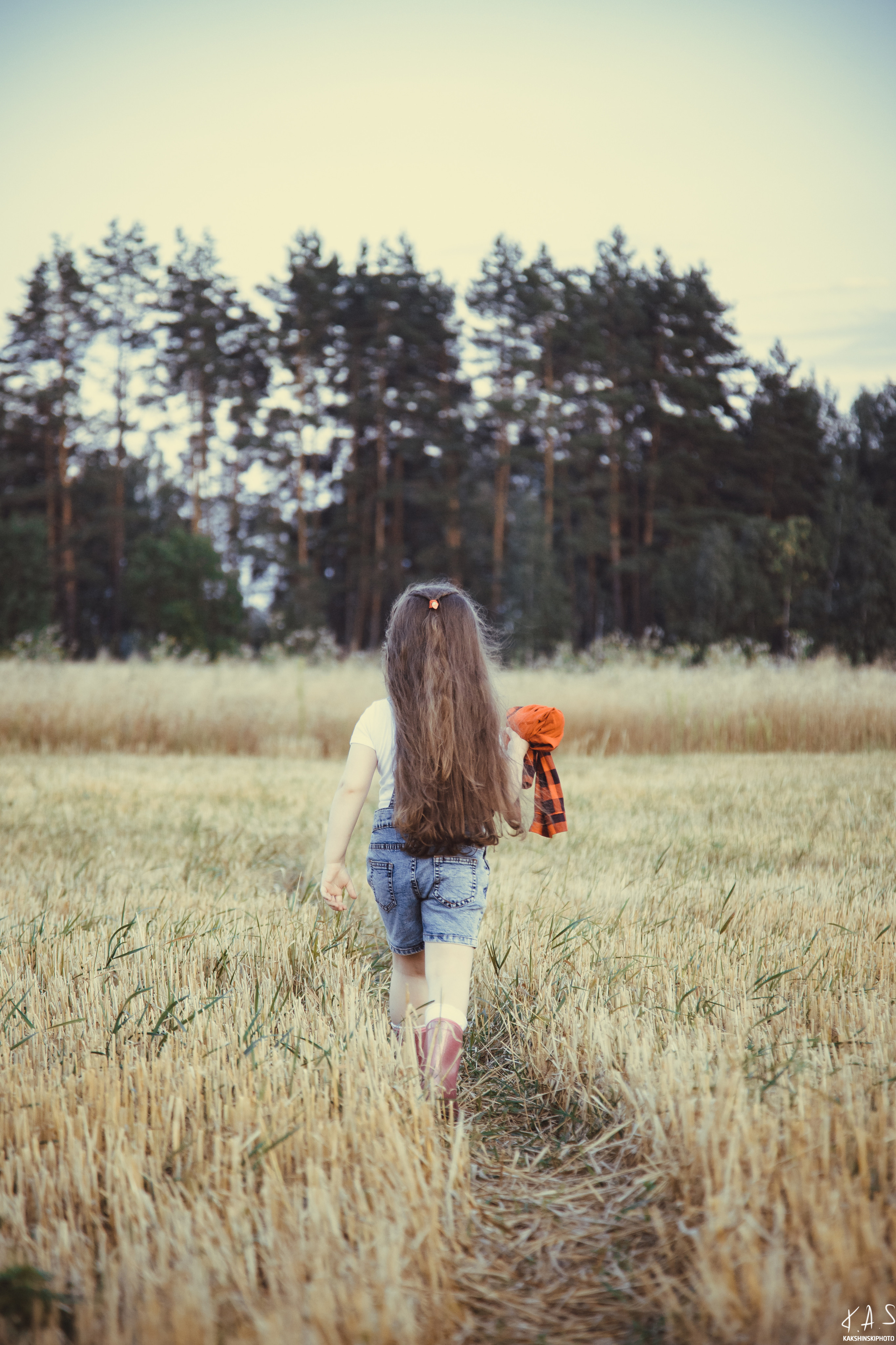 Колоски. Фотография и видеосъёмка