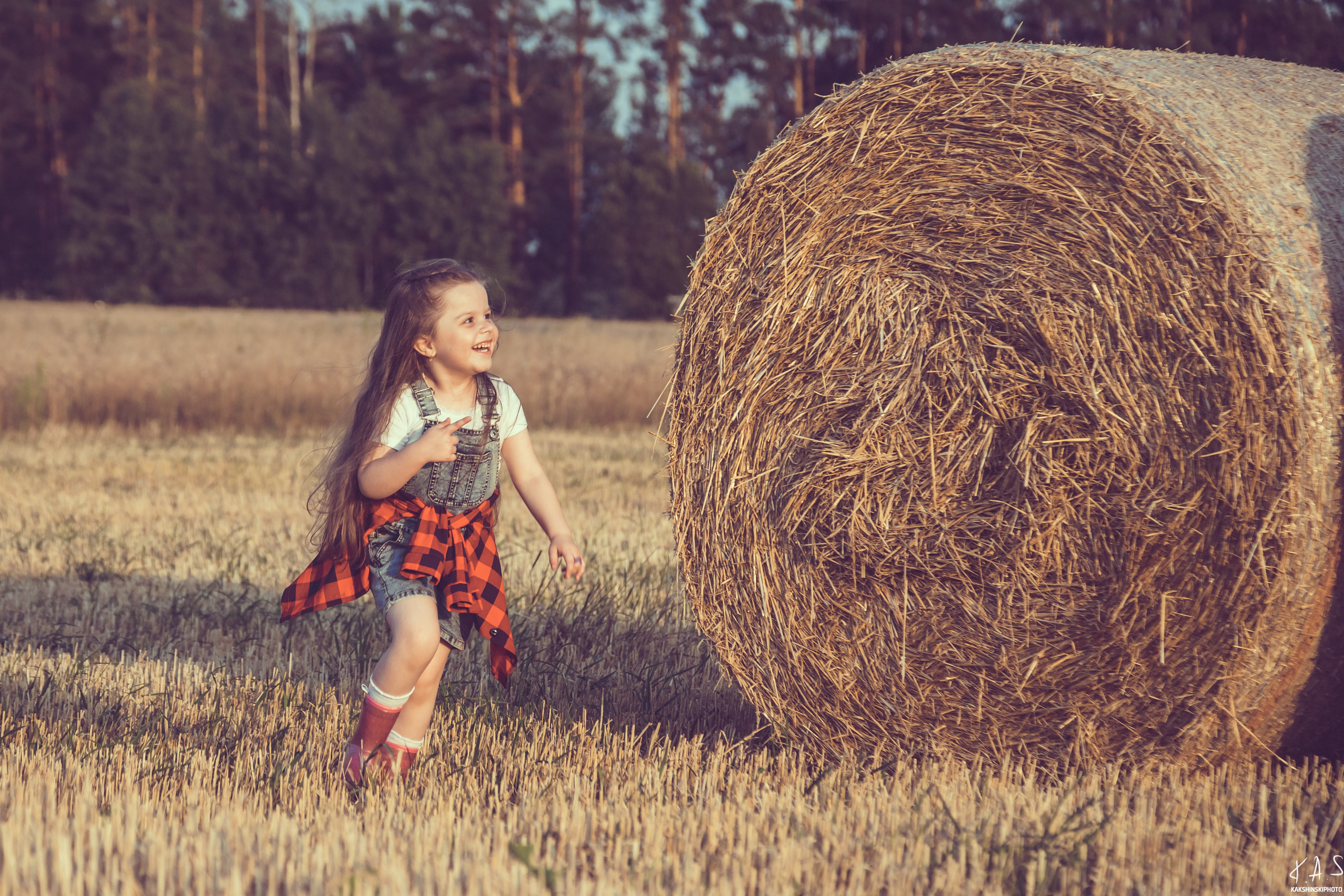 Колоски. Фотография и видеосъёмка