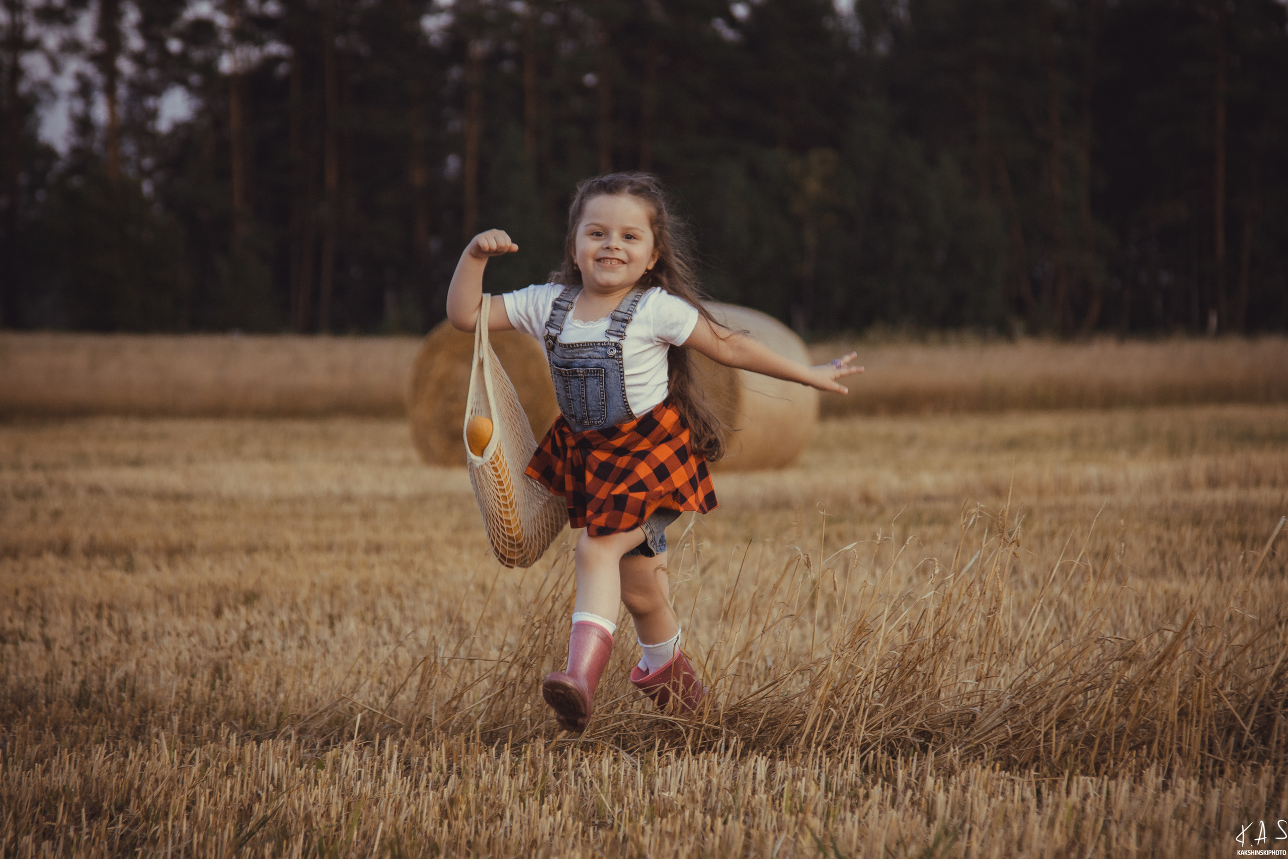 Колоски. Фотография и видеосъёмка