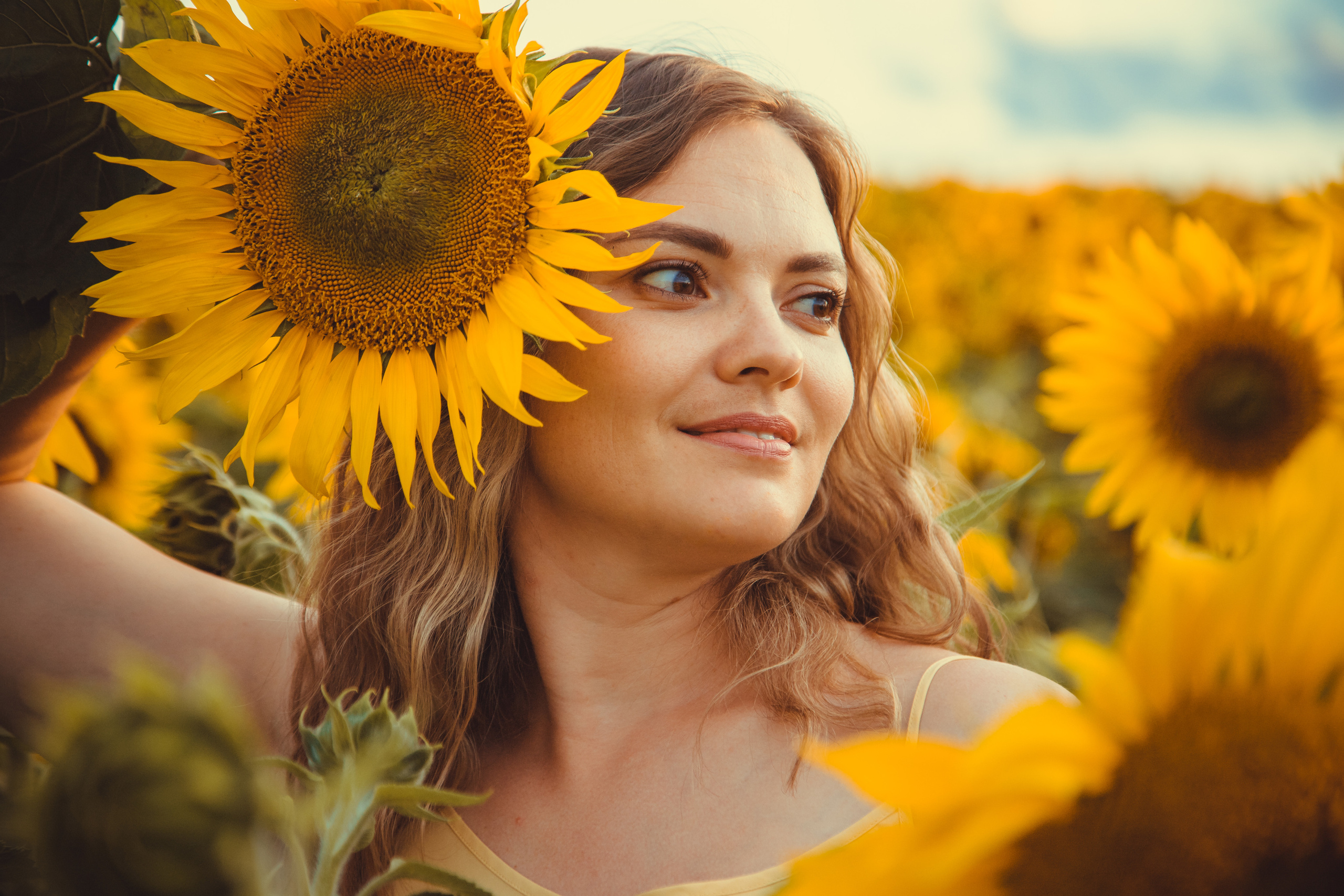 Подсолнухи. Фотография и видеосъёмка