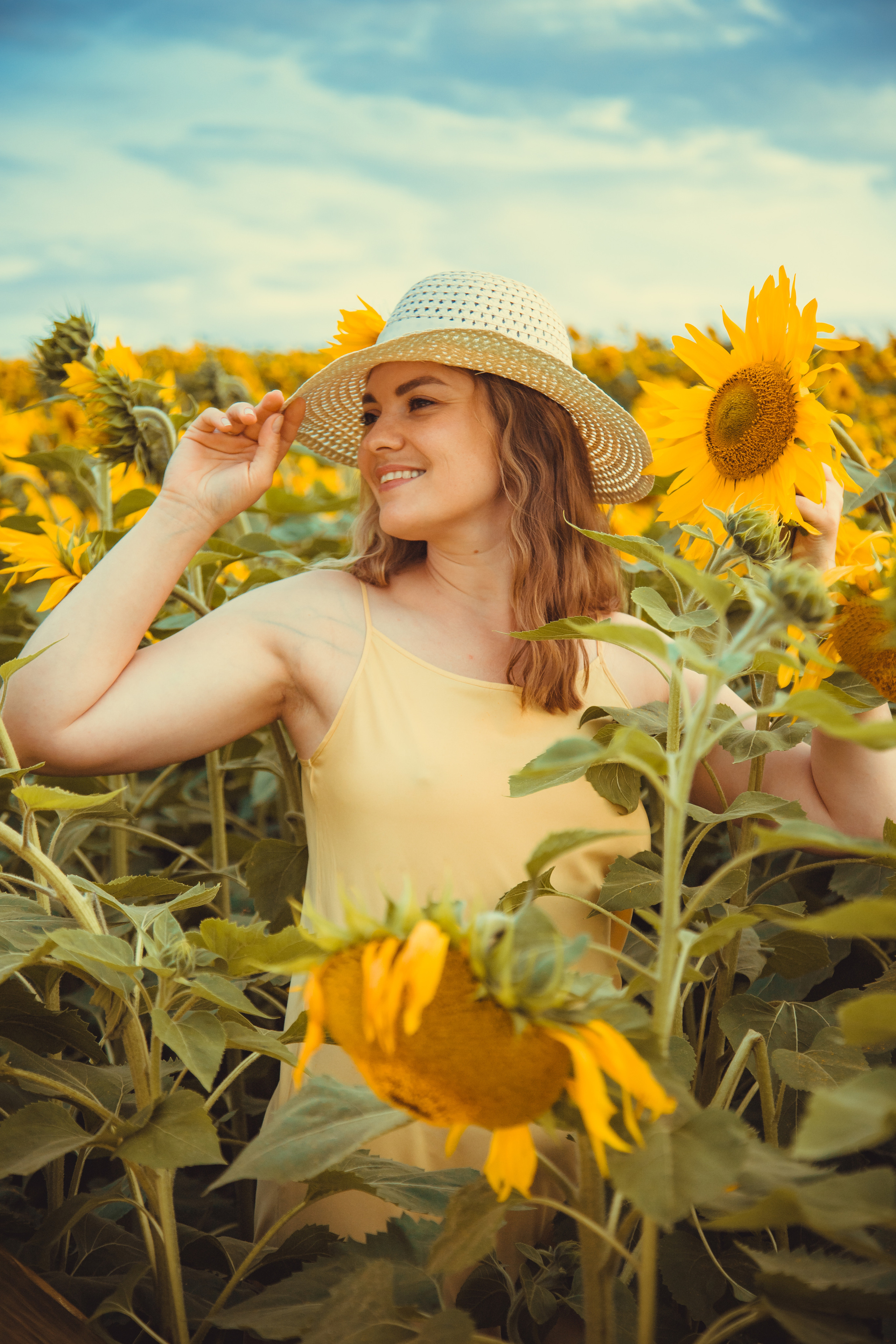 Подсолнухи. Фотография и видеосъёмка