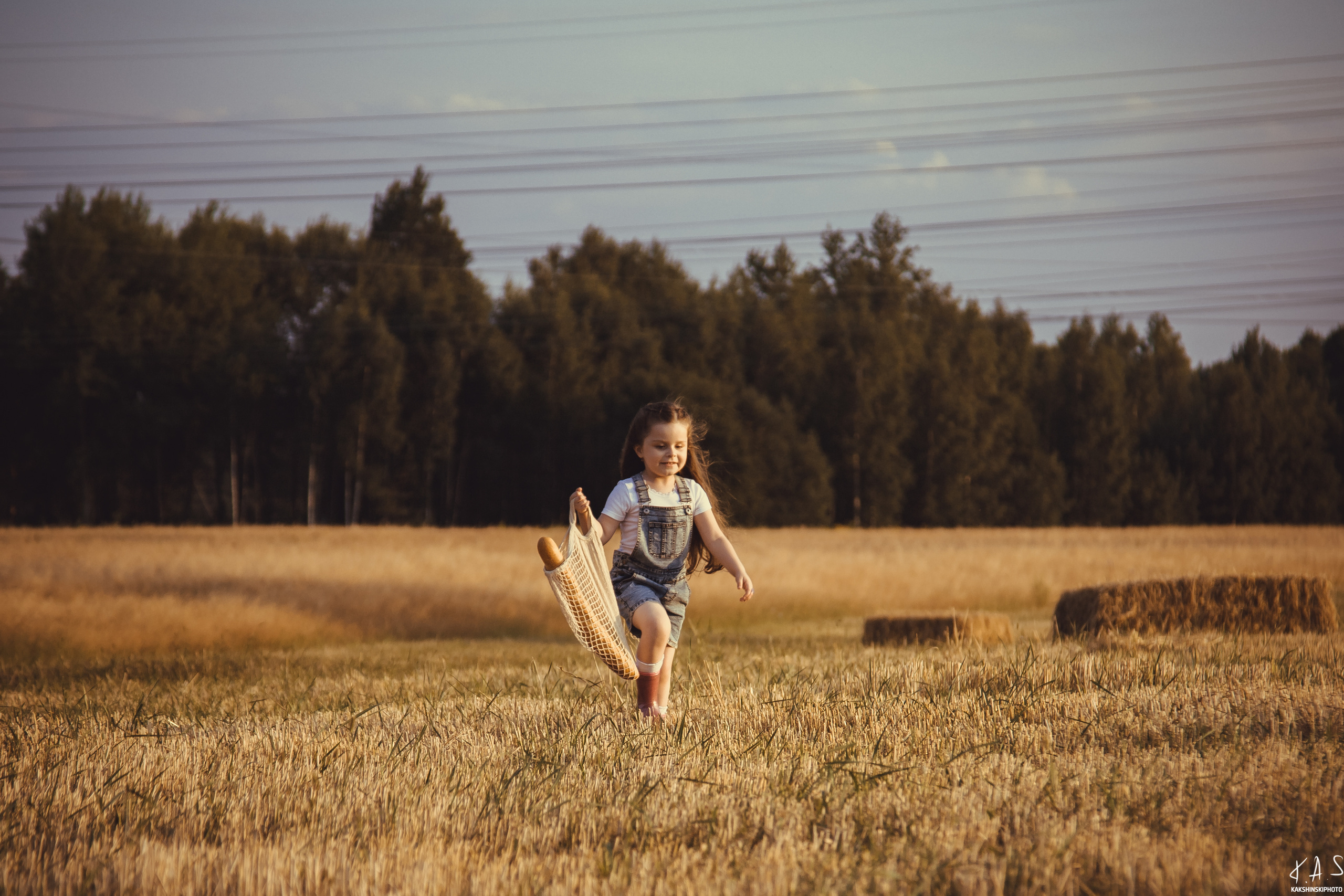 Колоски. Фотография и видеосъёмка