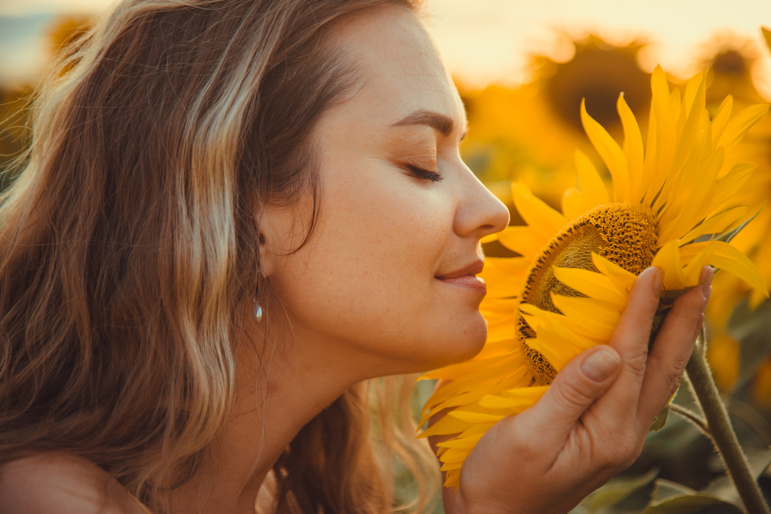 Подсолнухи. Фотография и видеосъёмка